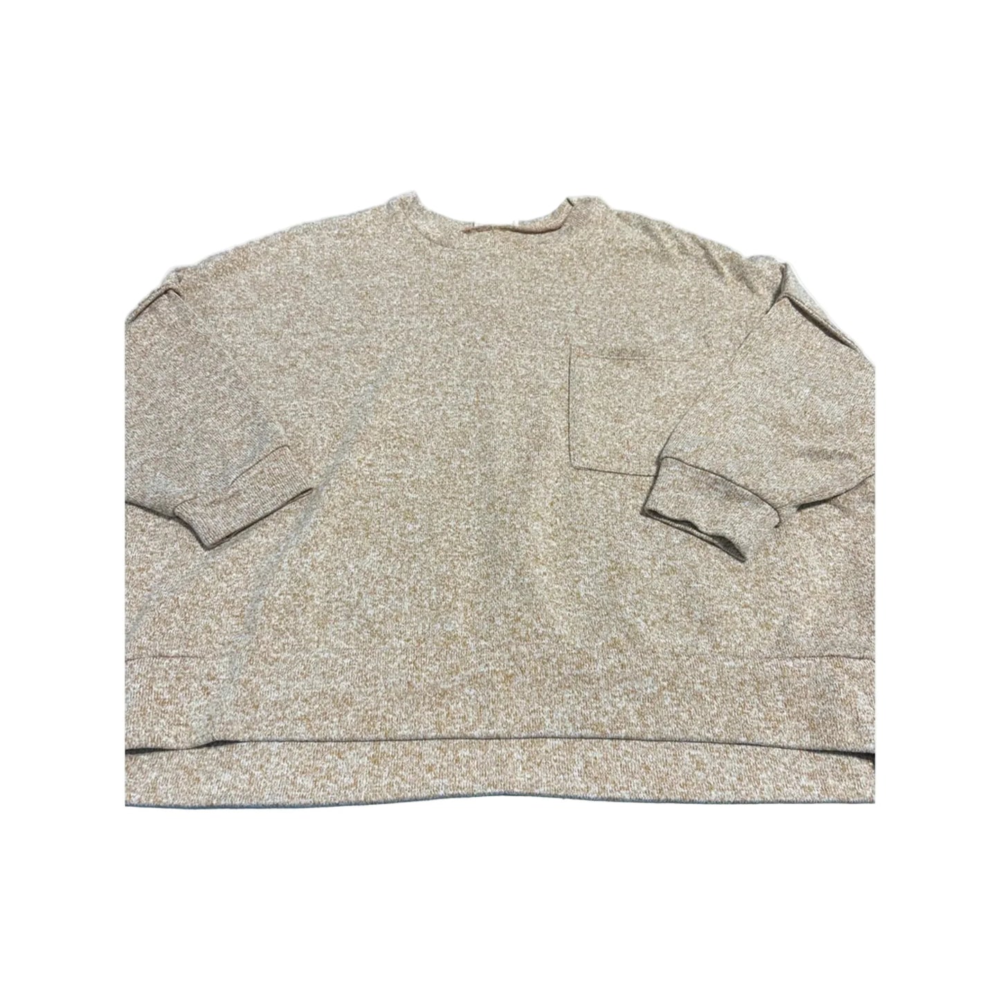 Top Long Sleeve By Zenana In Tan, Size: 1x