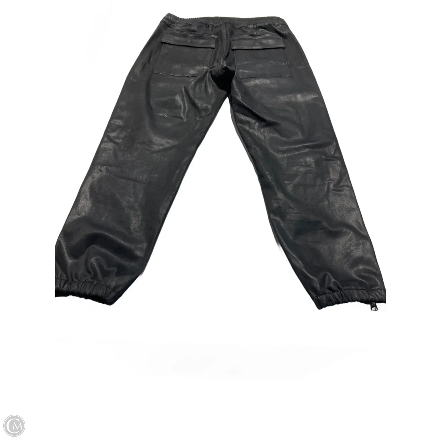 Pants Other By Hudson In Black, Size: M