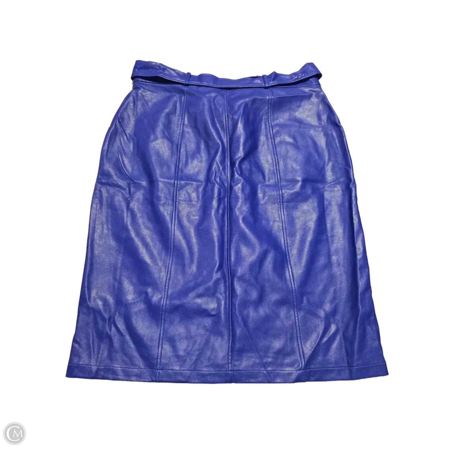 Skirt Midi By Eva Franco In Blue, Size: 1x