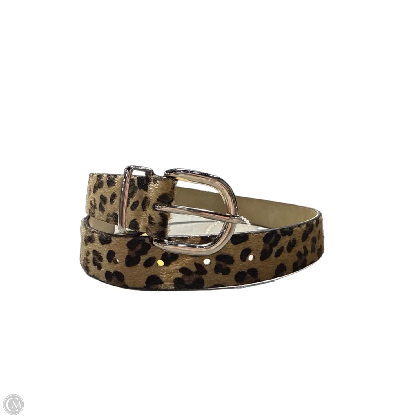 Belt By Cmc