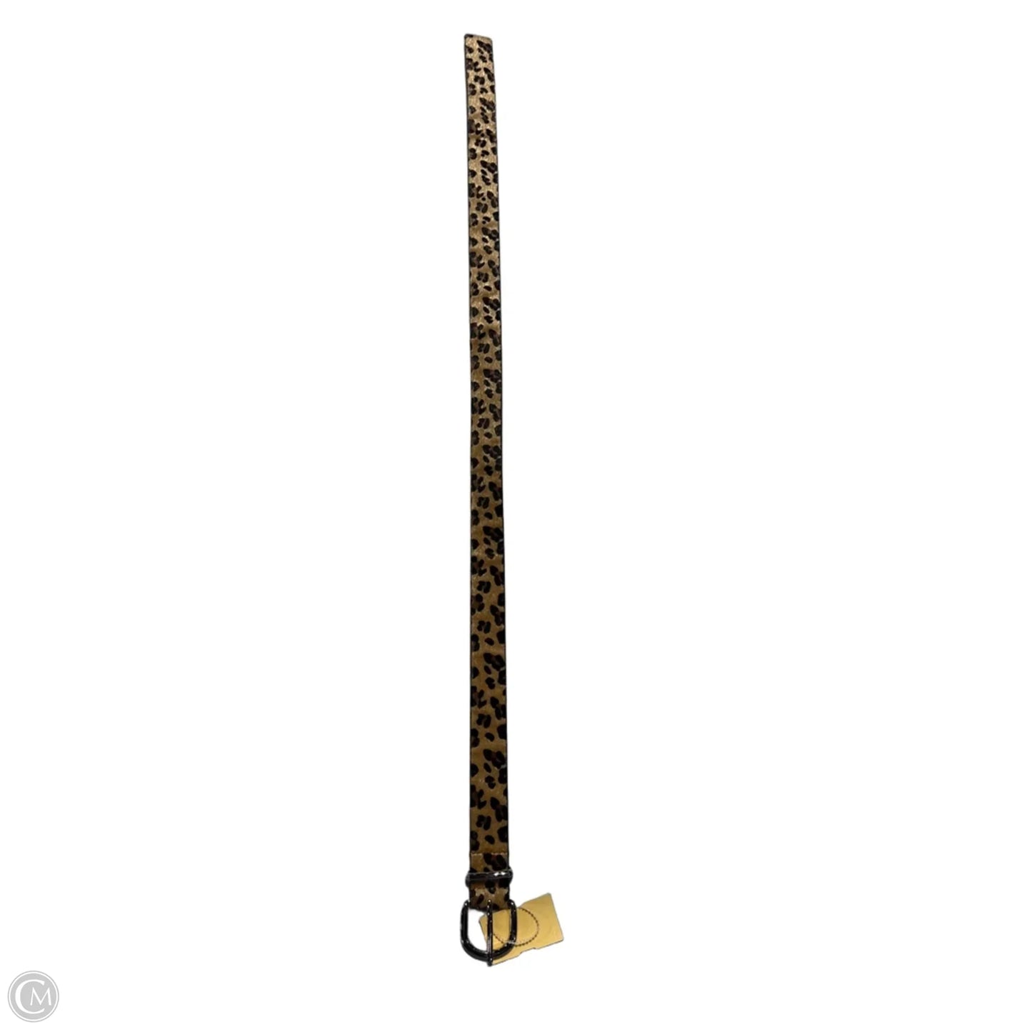Belt By Cmc