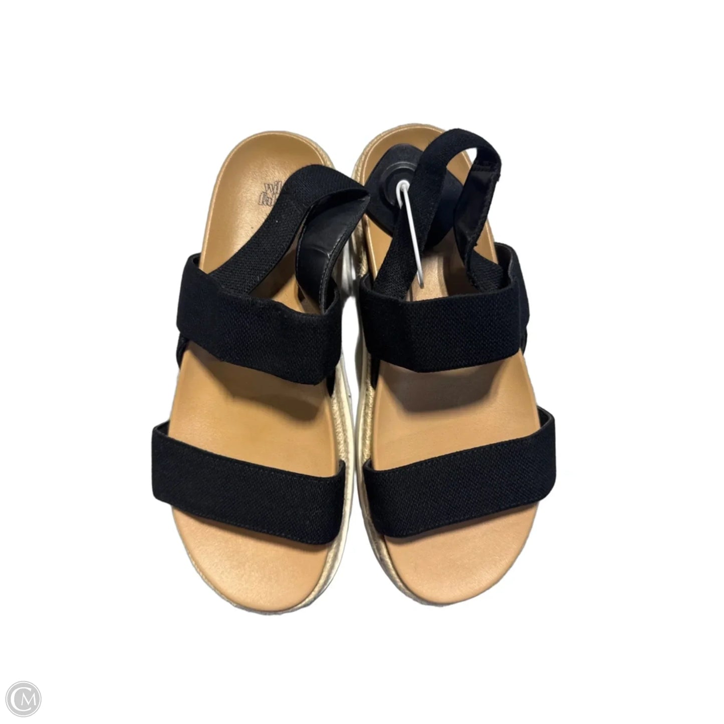 Sandals Flats By Wild Fable In Black, Size: 8