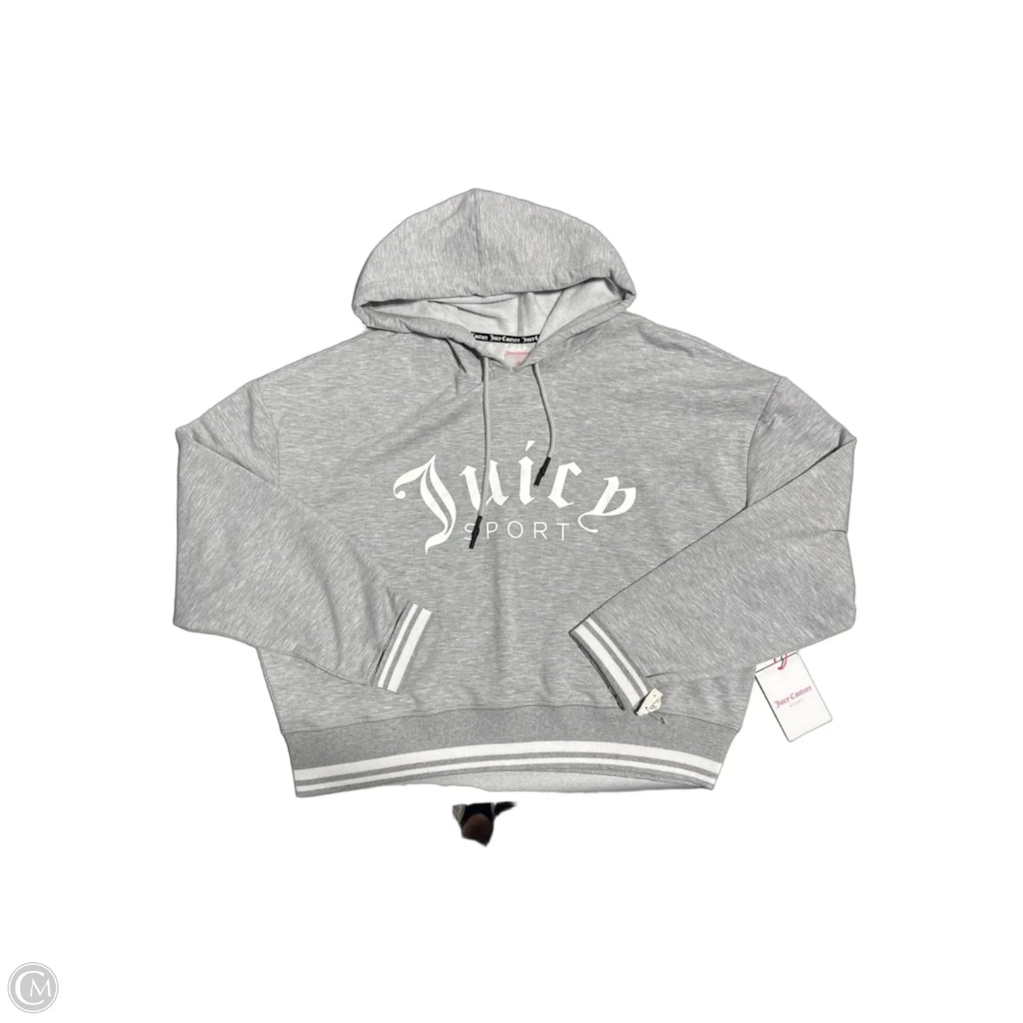 Sweatshirt Hoodie By Juicy Couture In Grey, Size: Xl