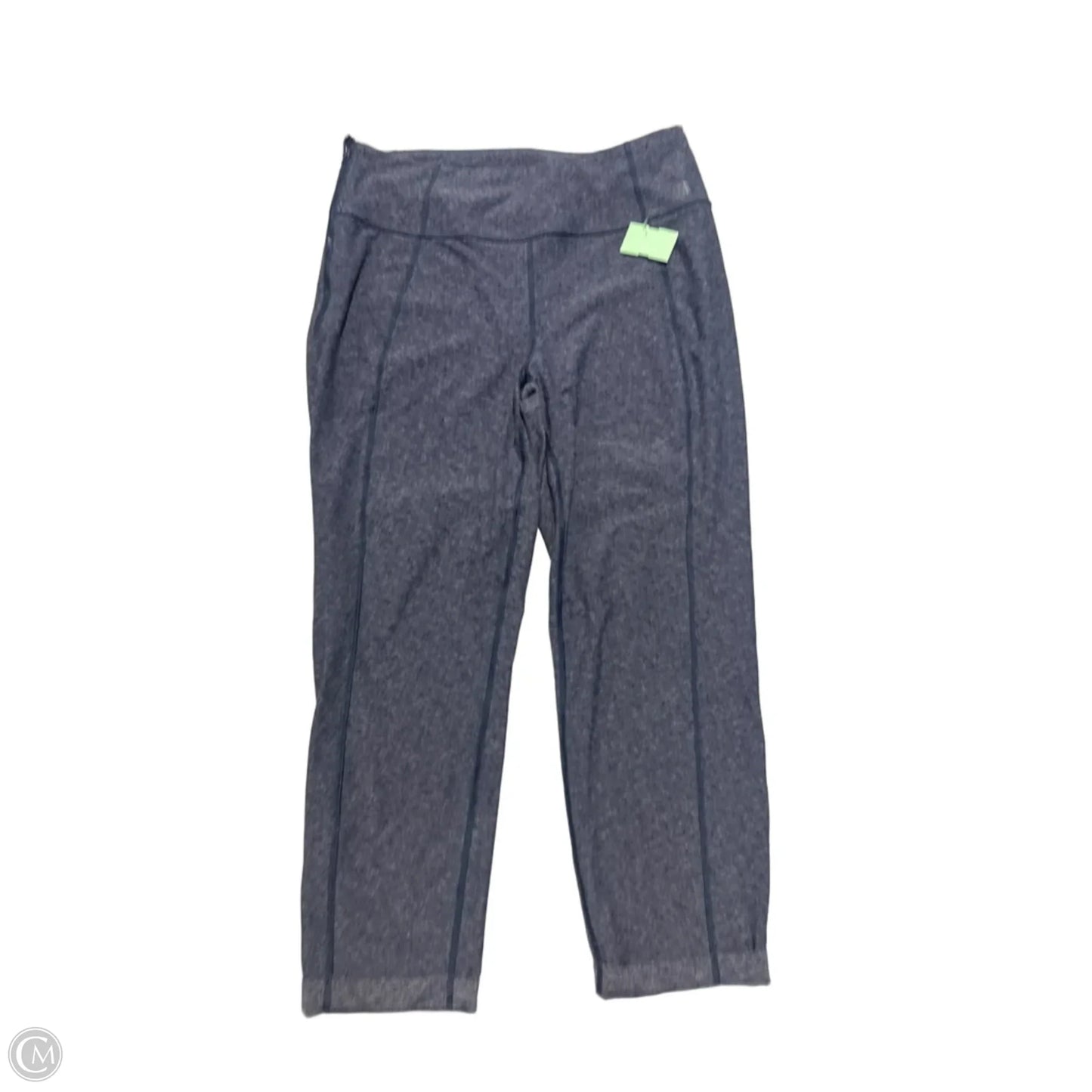 Athletic Pants By The North Face In Blue, Size: L