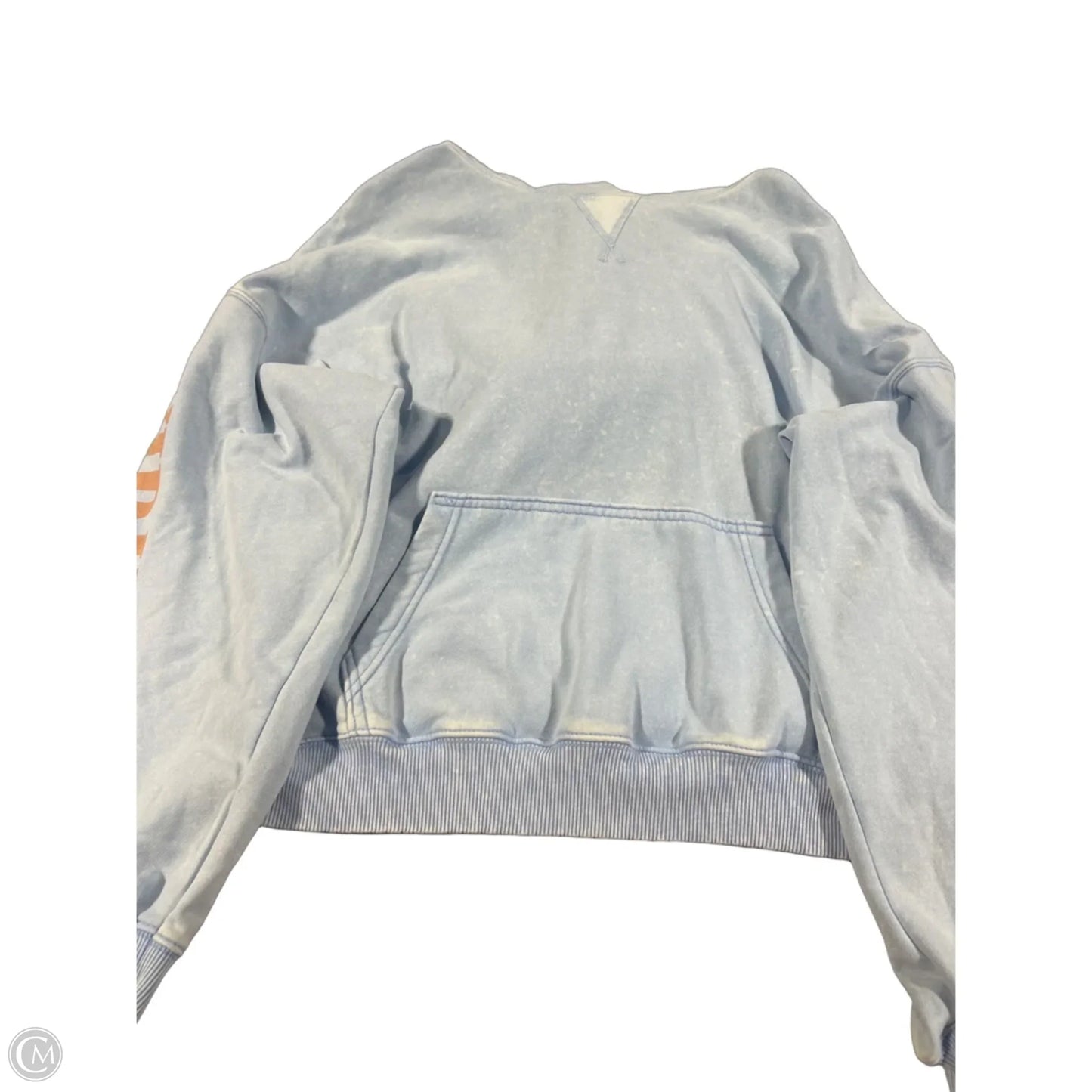 Sweatshirt Hoodie By American Eagle In Blue, Size: M