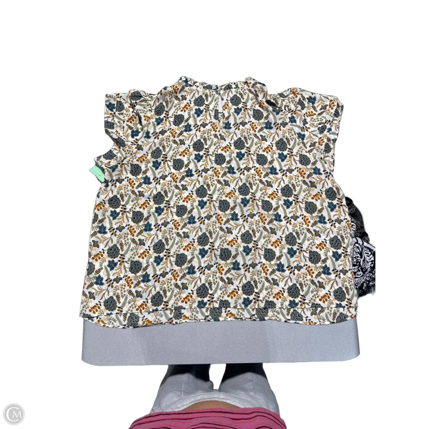 Top Short Sleeve By Rose And Olive In Green & Tan, Size: 3x