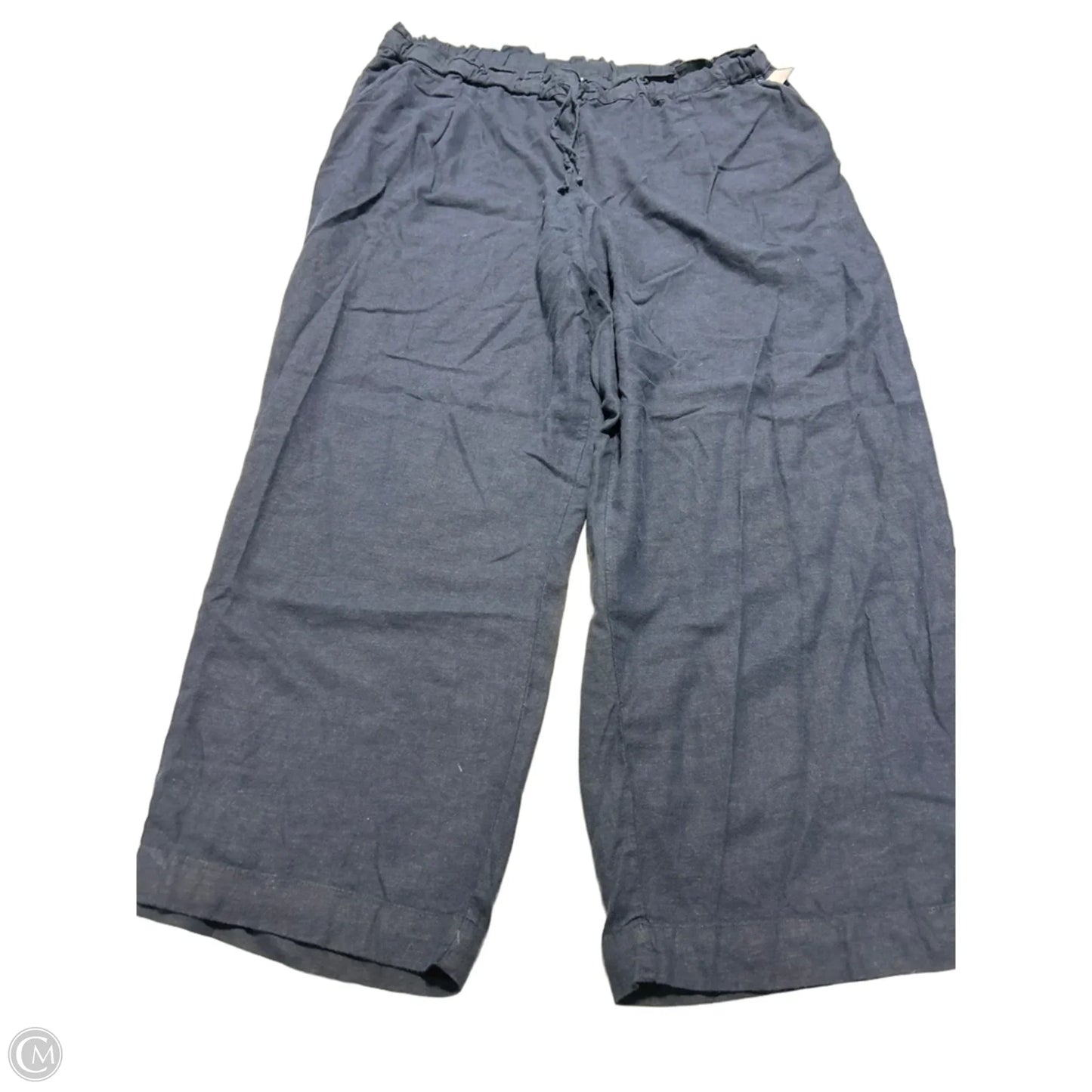 Pants Other By Time And Tru In Navy, Size: 2x