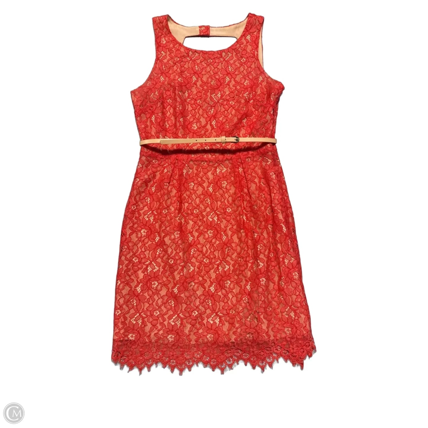 Dress Casual Short By Oasis Society In Coral, Size: L