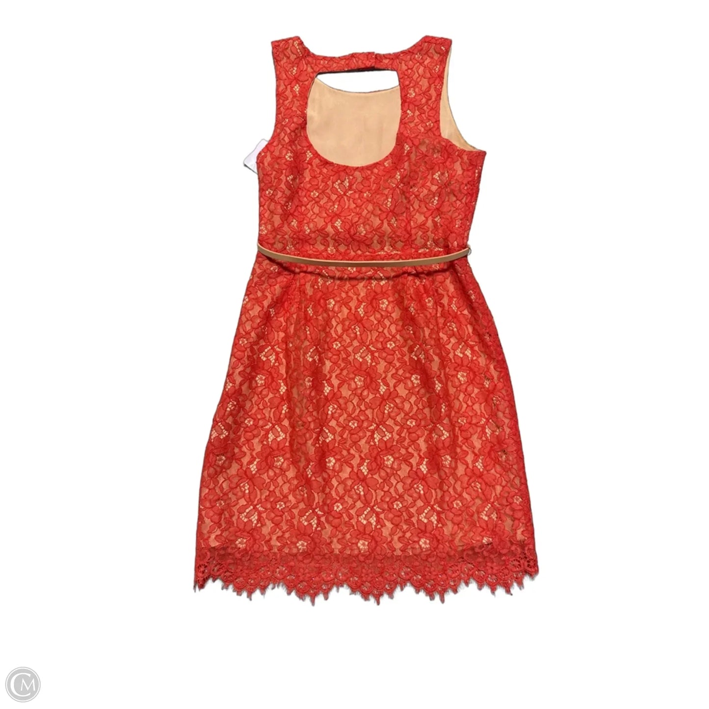 Dress Casual Short By Oasis Society In Coral, Size: L