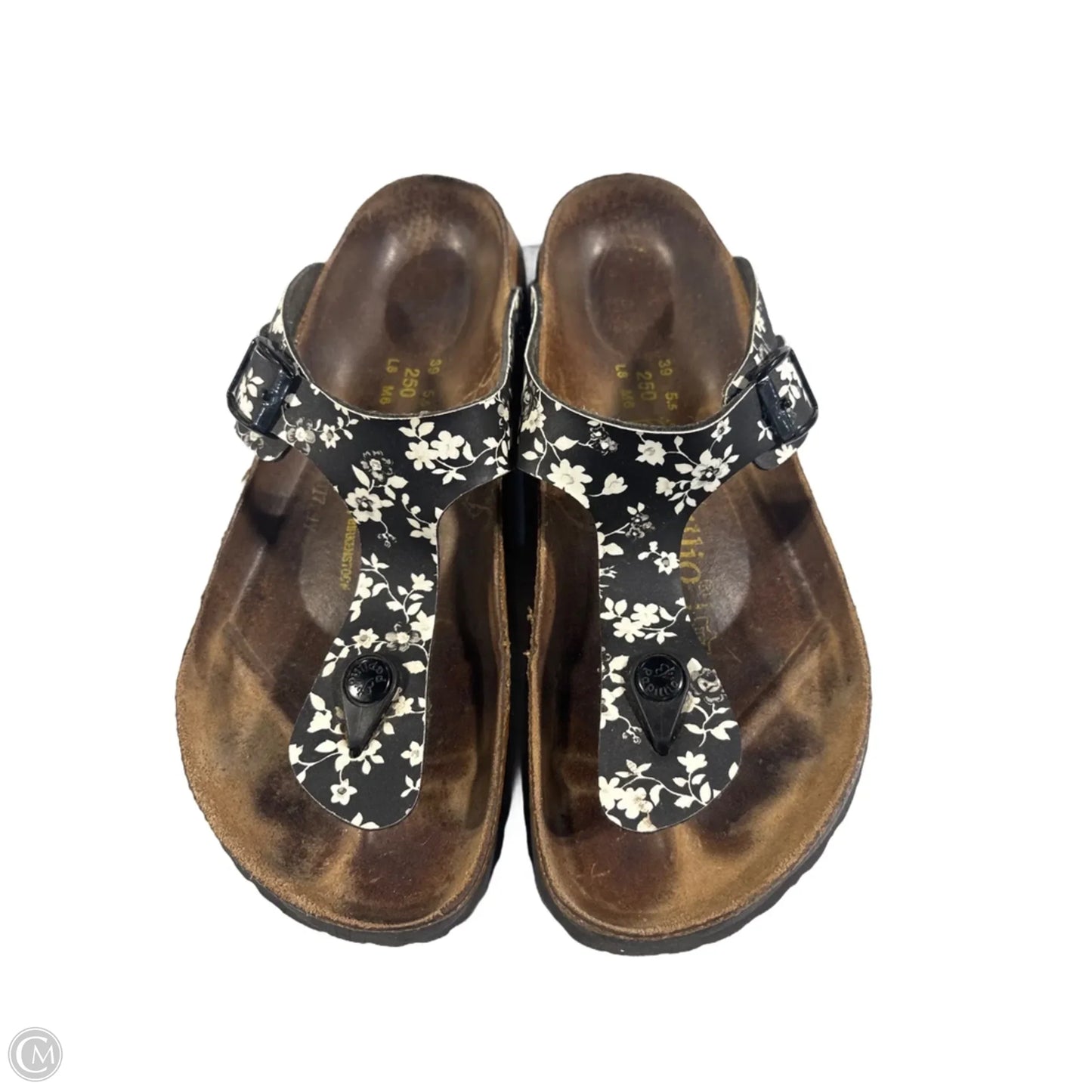 Sandals Flip Flops By Birkenstock In Floral Print, Size: 8