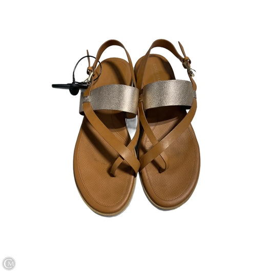 Sandals Flip Flops By Cole-haan In Tan & White, Size: 9.5