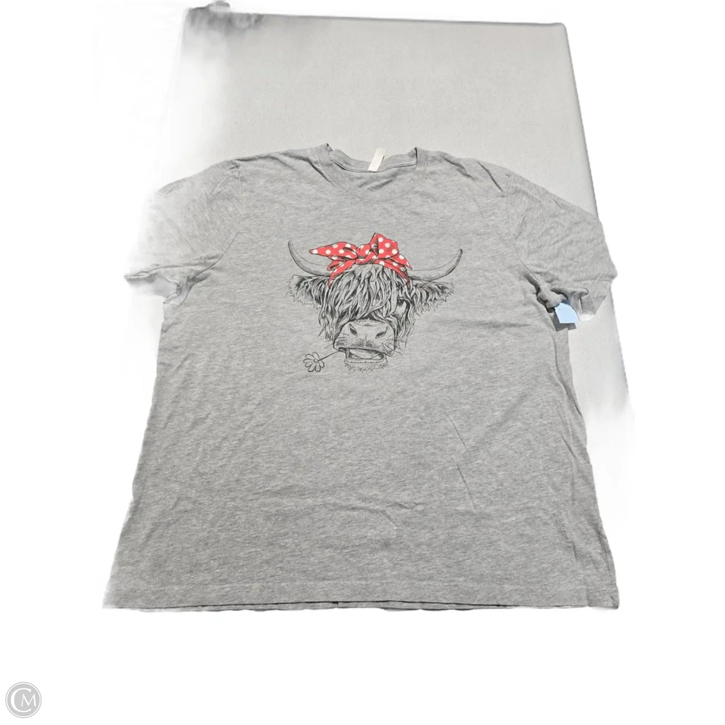 Top Short Sleeve By Canvas In Grey, Size: Xl