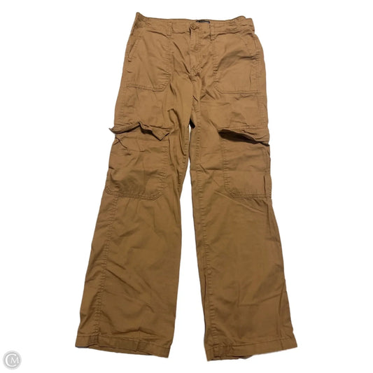Pants Cargo & Utility By Social Standard By Sanctuary In Brown, Size: 4