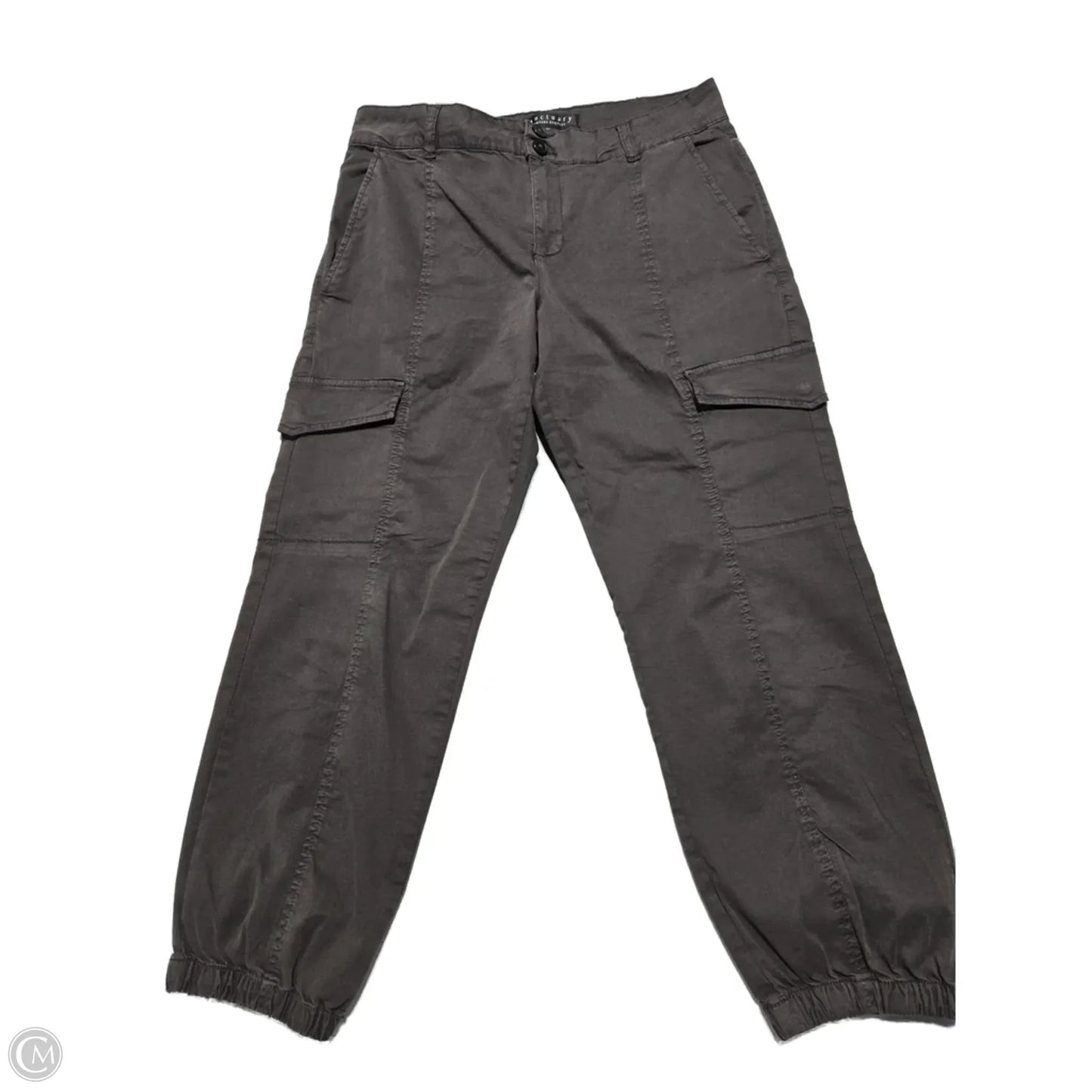 Pants Cargo & Utility By Sanctuary In Brown, Size: 8