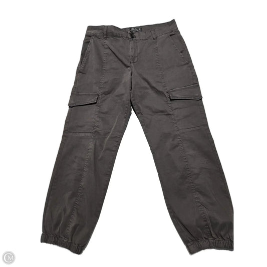 Pants Cargo & Utility By Sanctuary In Brown, Size: 8