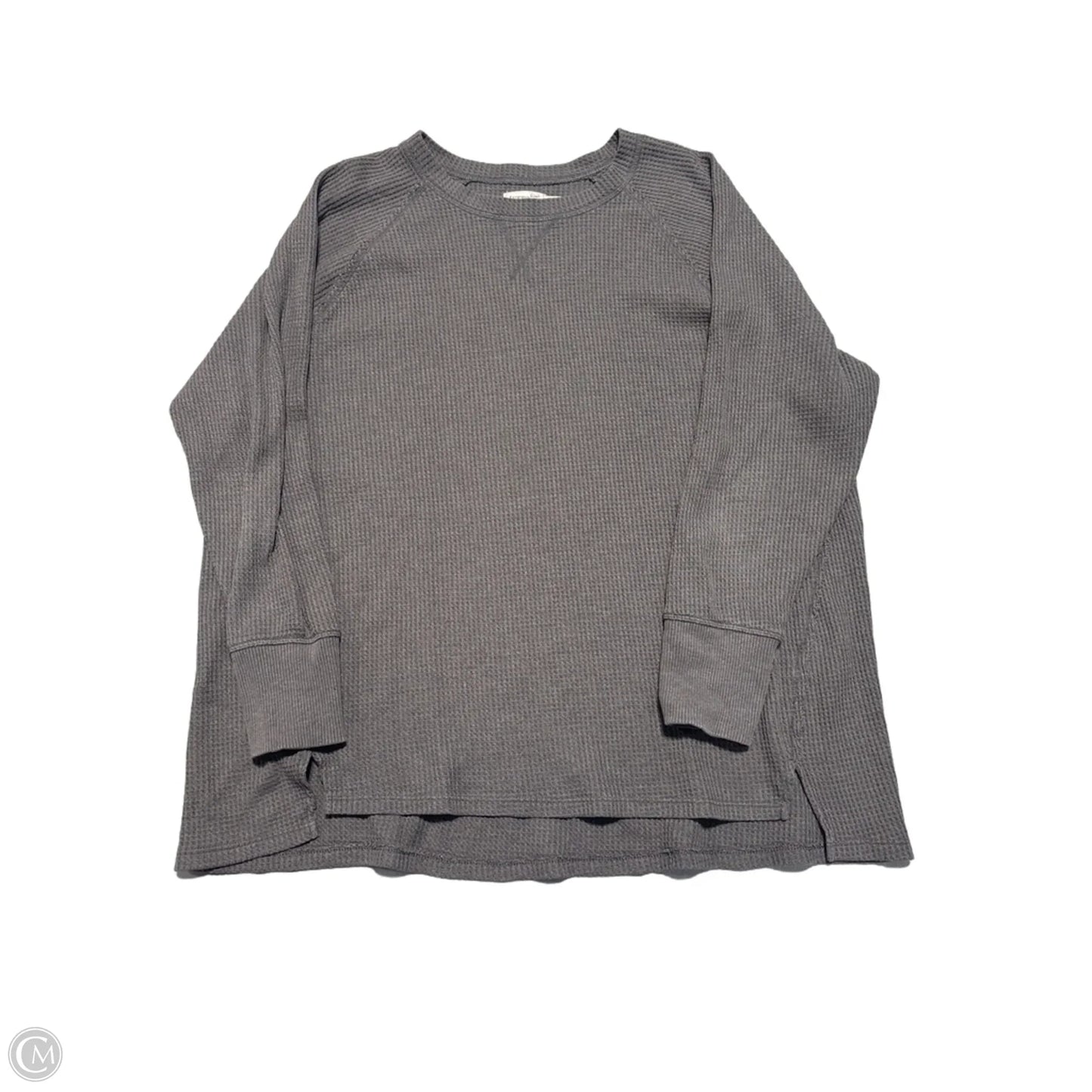 Top Long Sleeve By Terra & Sky In Grey, Size: 1x