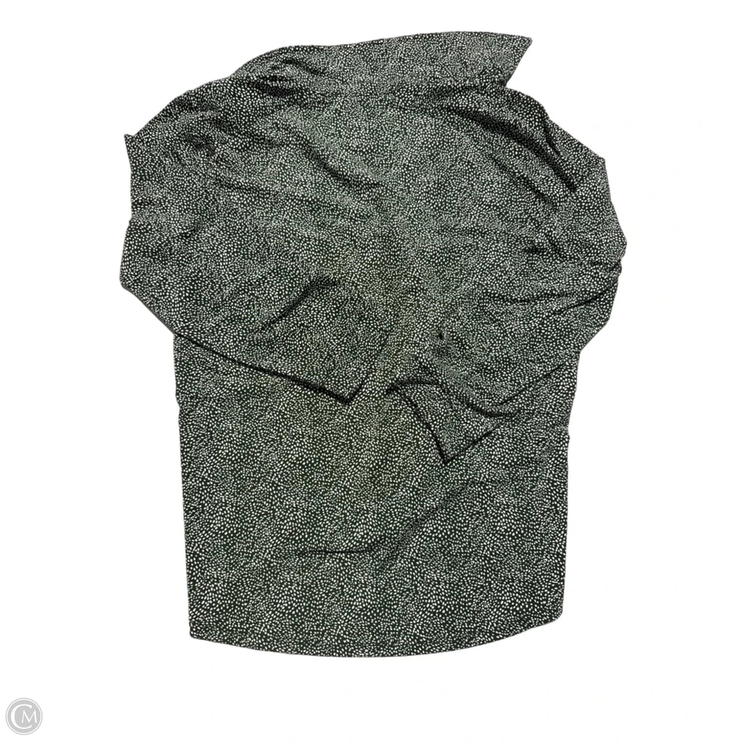 Top Long Sleeve By Adrianna Papell In Green & White, Size: L