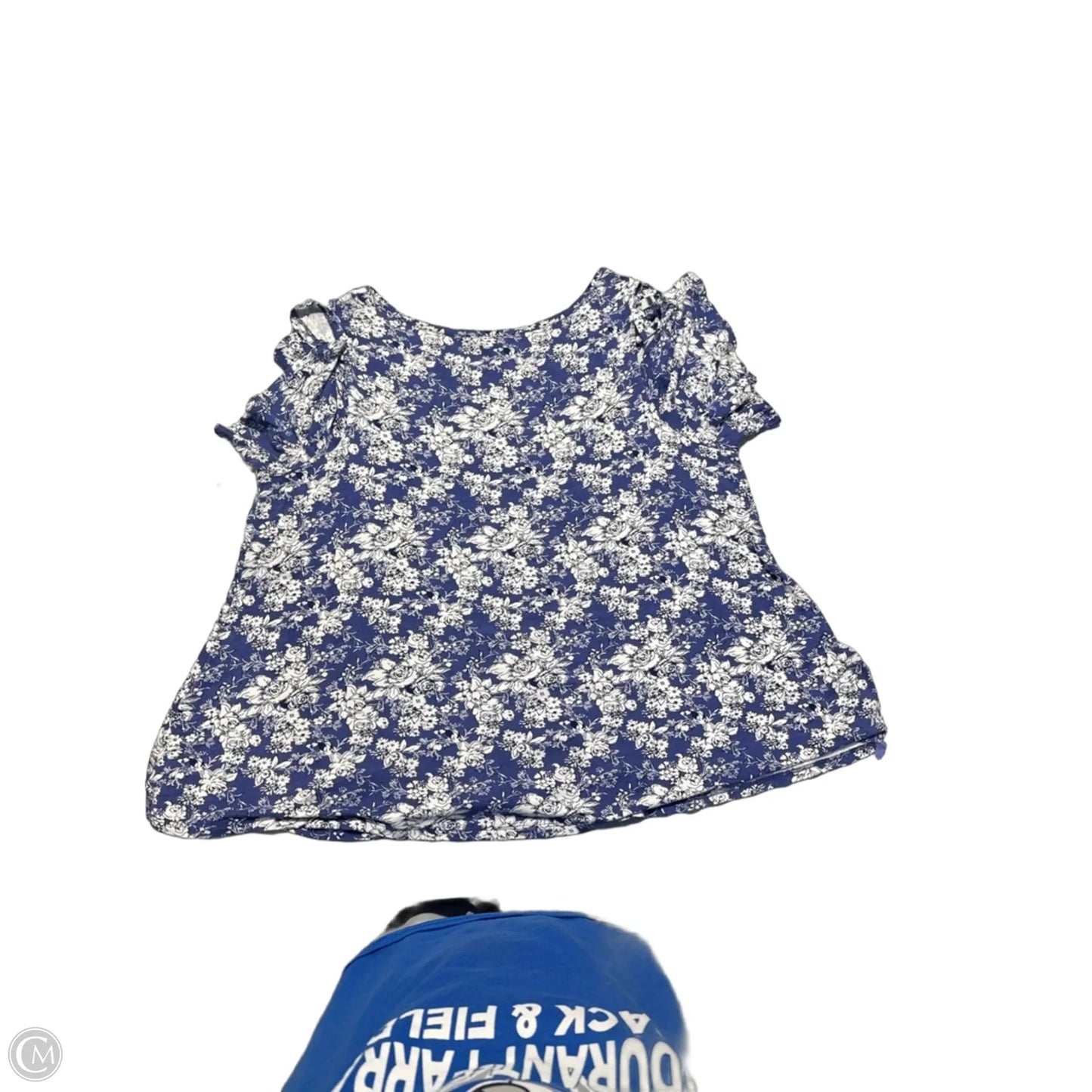 Top Short Sleeve By Westport In Blue & White, Size: 1x