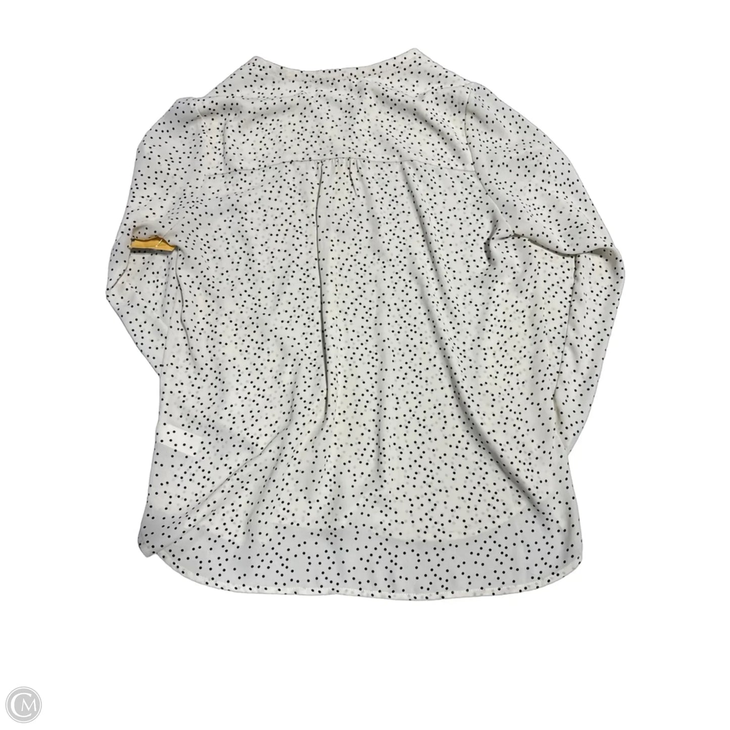 Blouse Long Sleeve By Pleione In Cream, Size: M