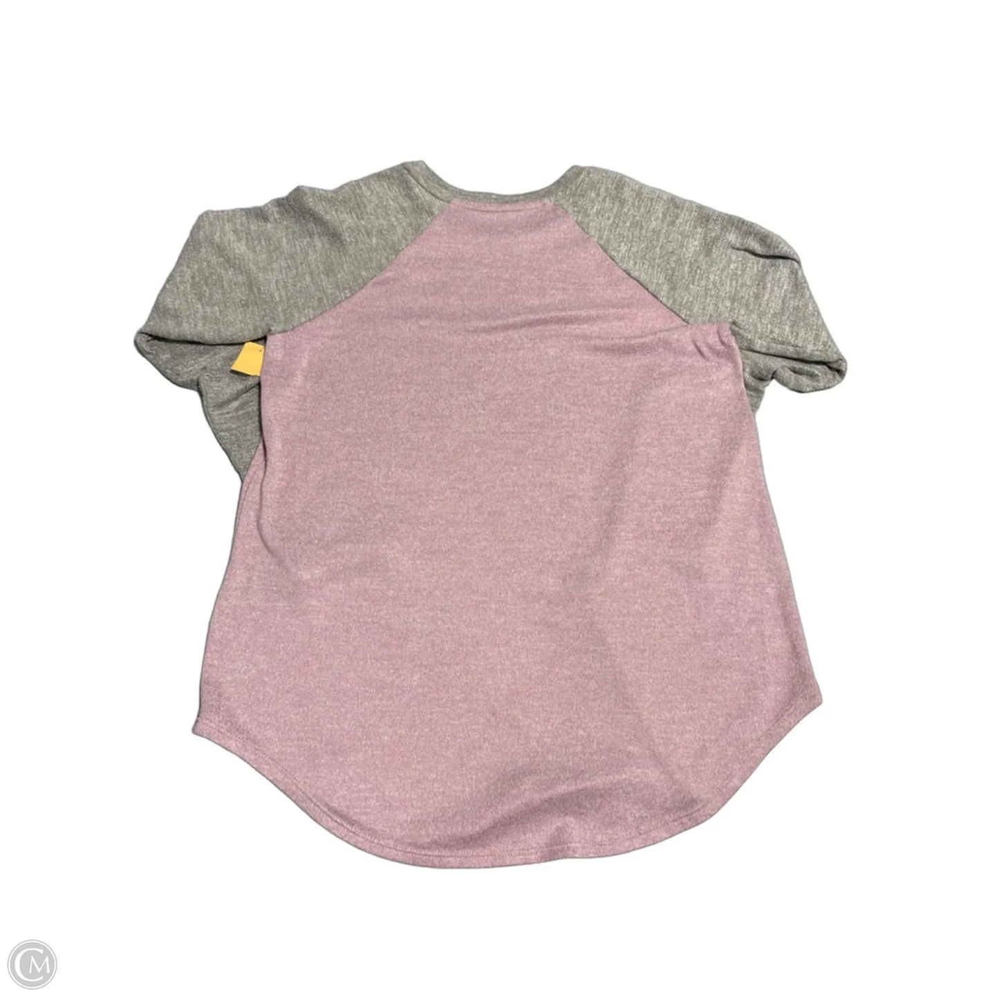 Top Long Sleeve By American Eagle In Grey & Pink, Size: Xs