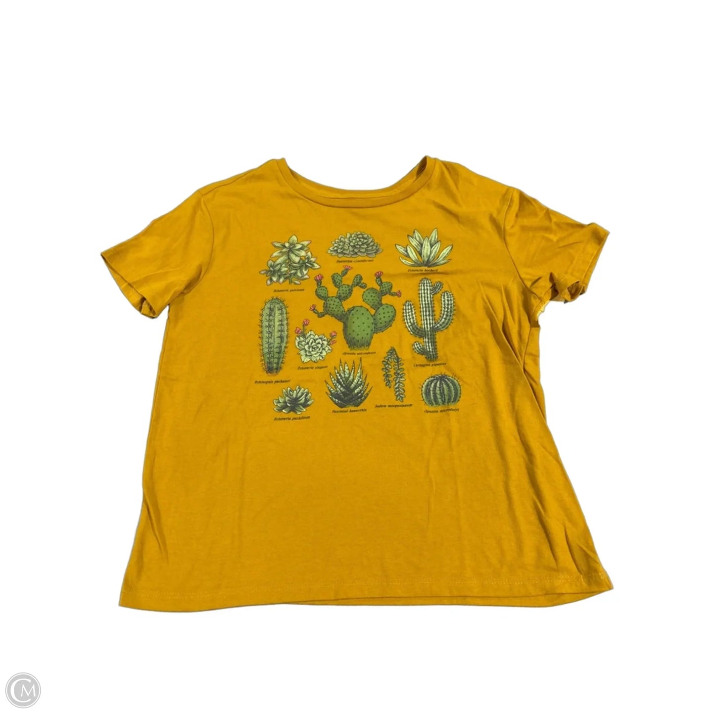Top Short Sleeve By Fifth Sun In Yellow, Size: M