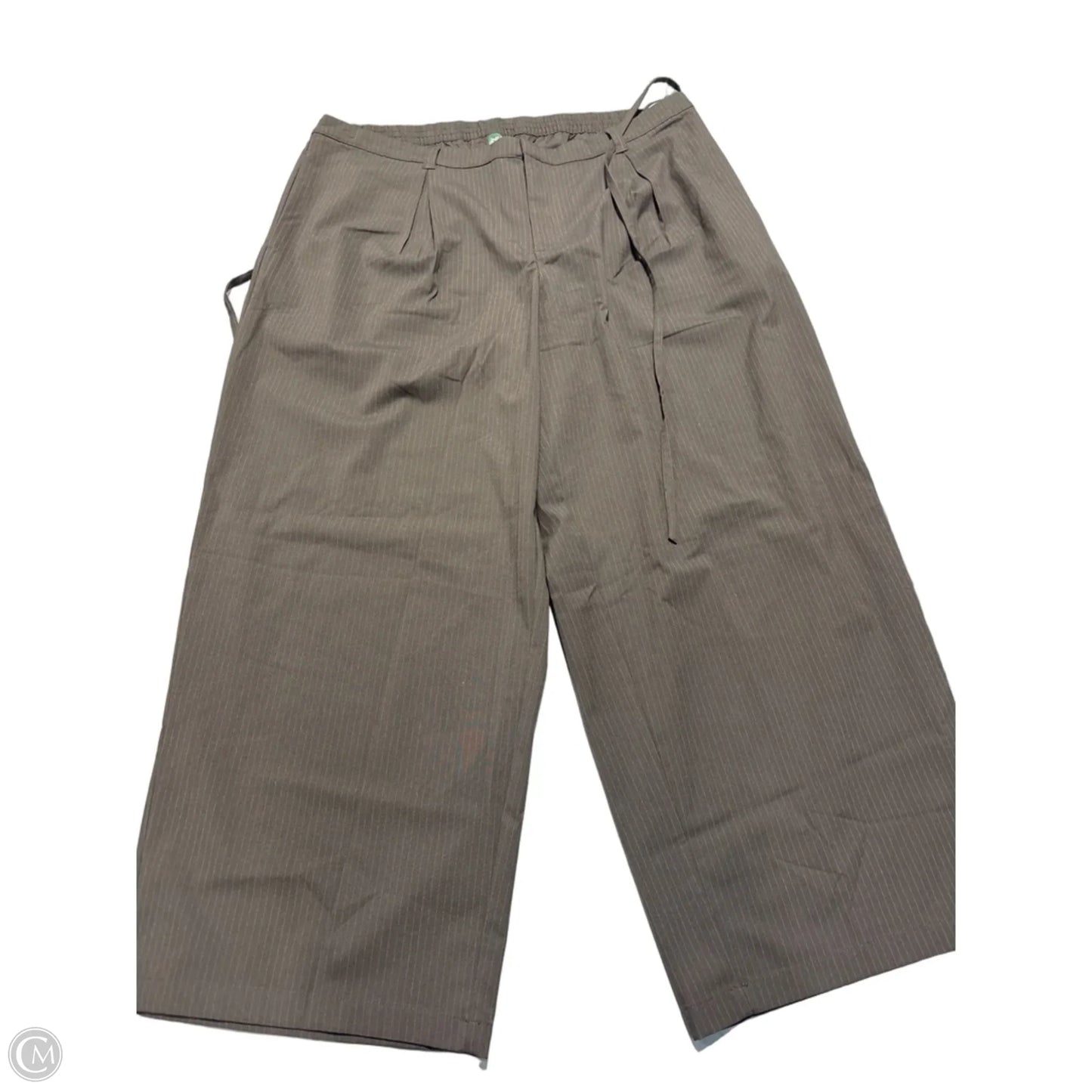 Pants Other By Wild Fable In Brown, Size: 1x