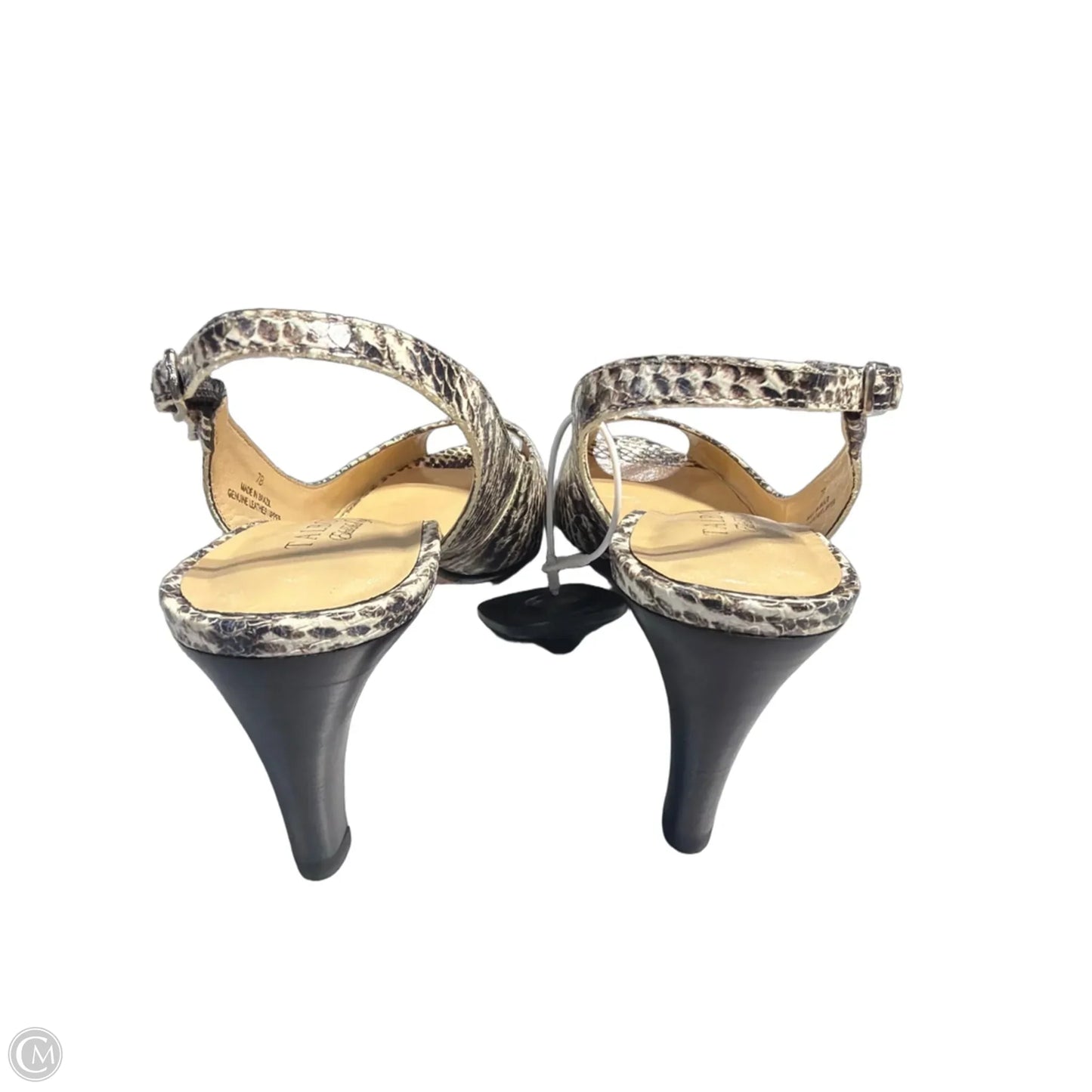Shoes Heels Kitten By Talbots In Animal Print, Size: 7