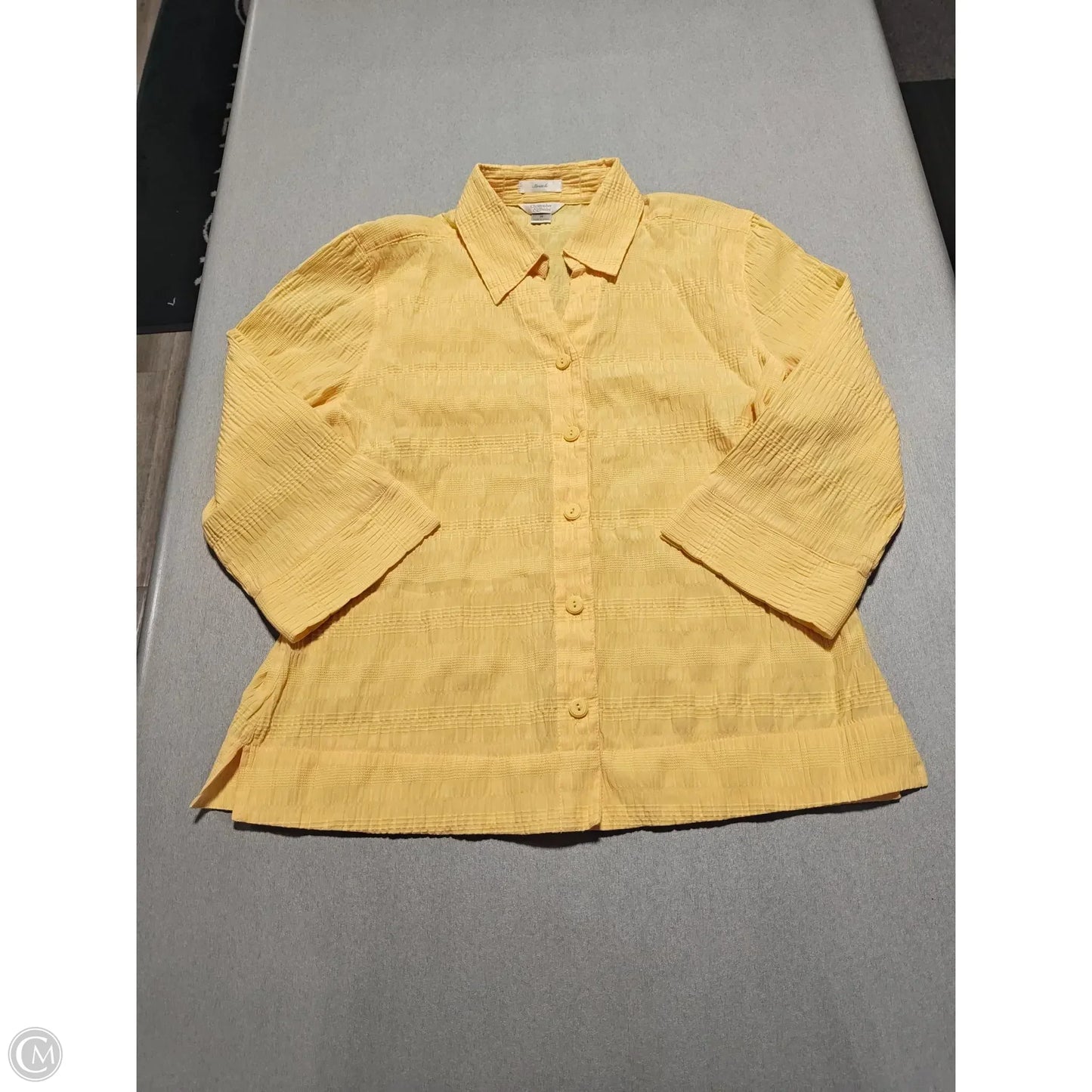 Top Long Sleeve By Christopher And Banks In Yellow, Size: M