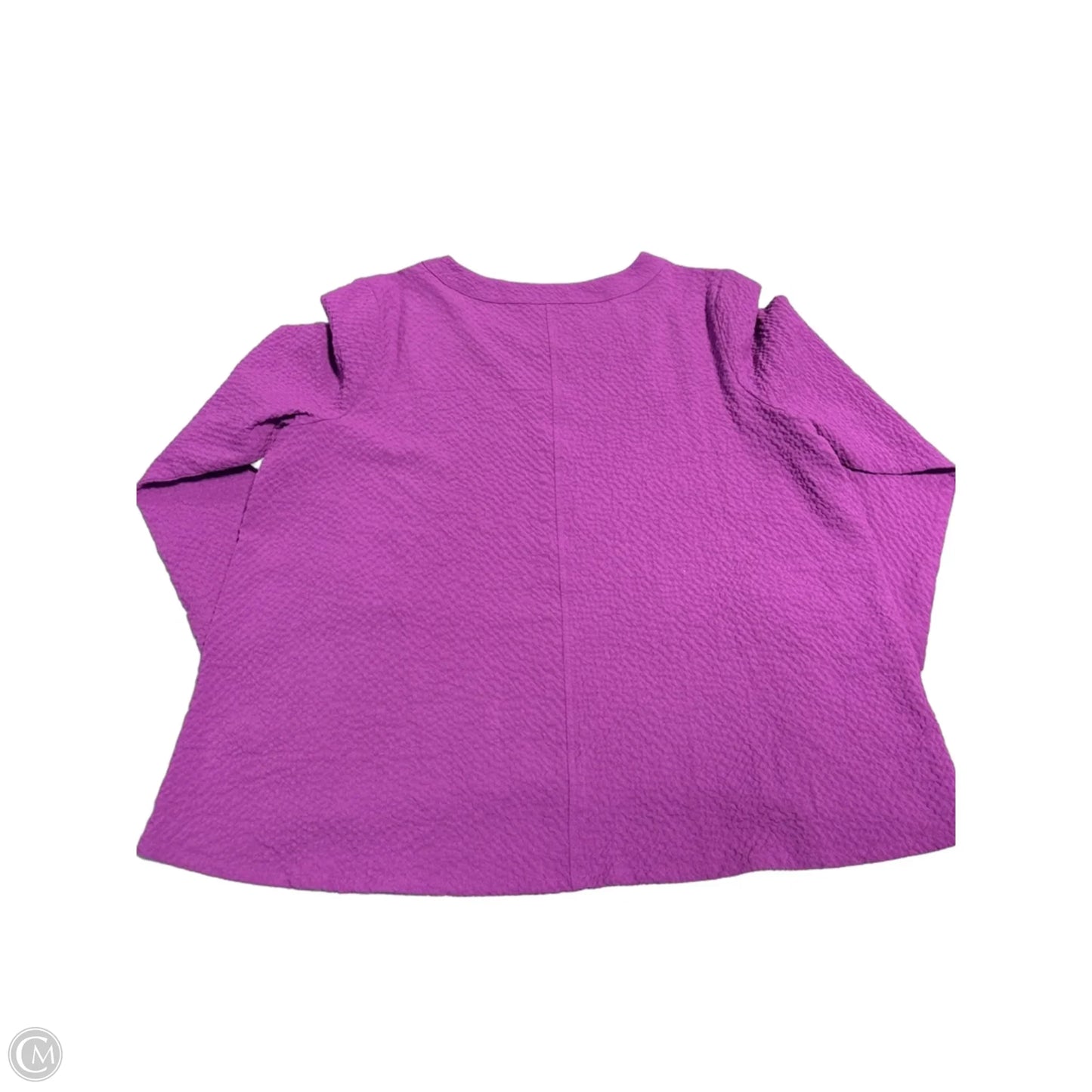 Top Long Sleeve By Habitat In Purple, Size: Xl