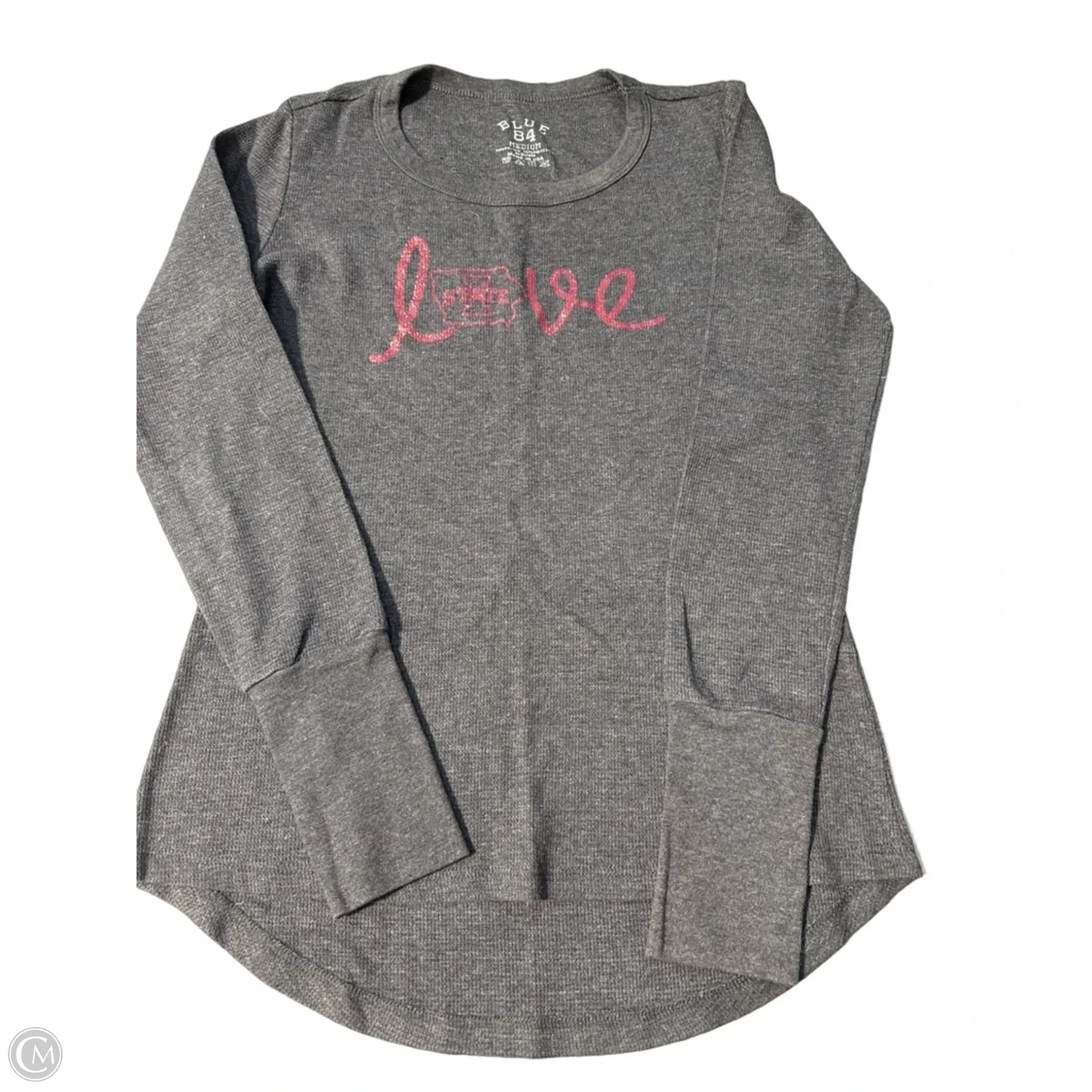 Top Long Sleeve By Blue 84 In Grey, Size: M