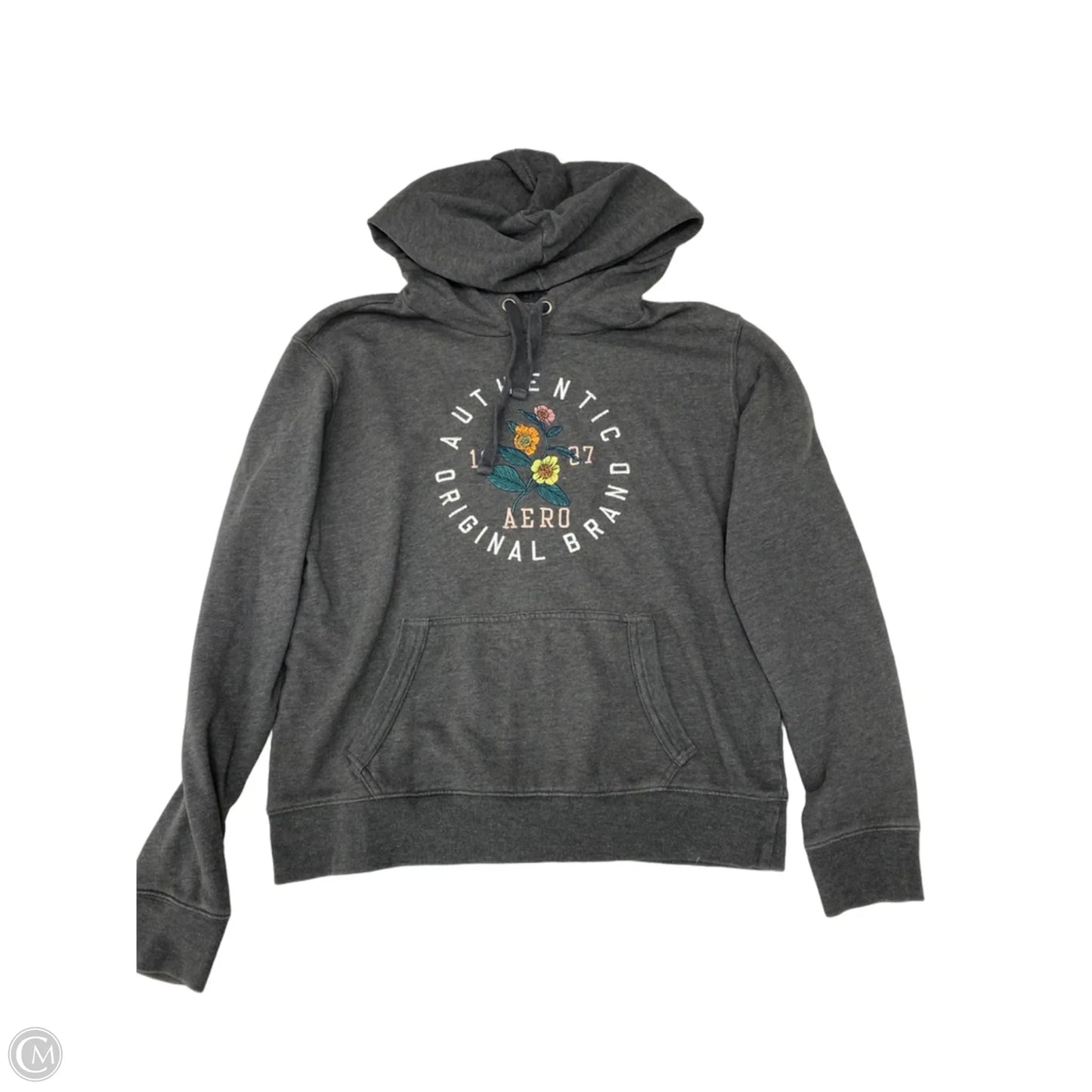 Sweatshirt Hoodie By Aeropostale In Grey, Size: M