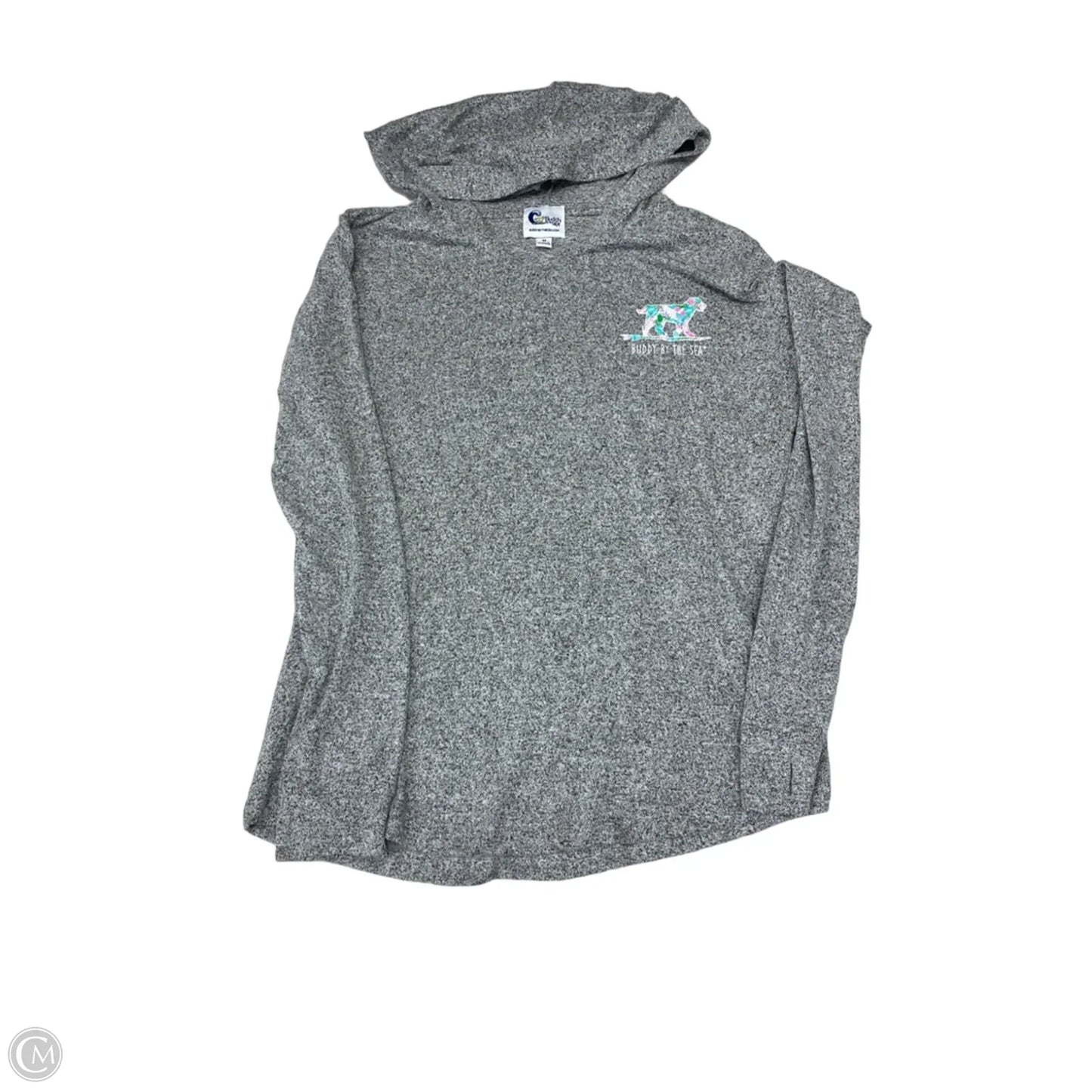 Sweatshirt Hoodie By Clothes Mentor In Grey, Size: M