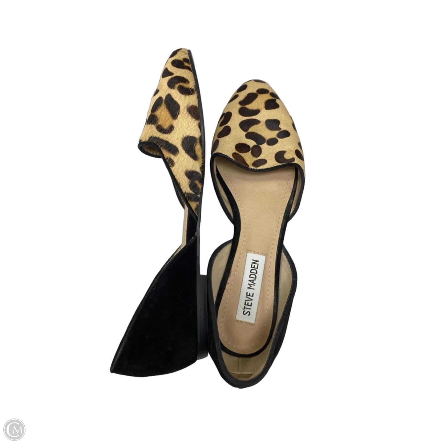 Shoes Flats By Steve Madden In Animal Print, Size: 6.5