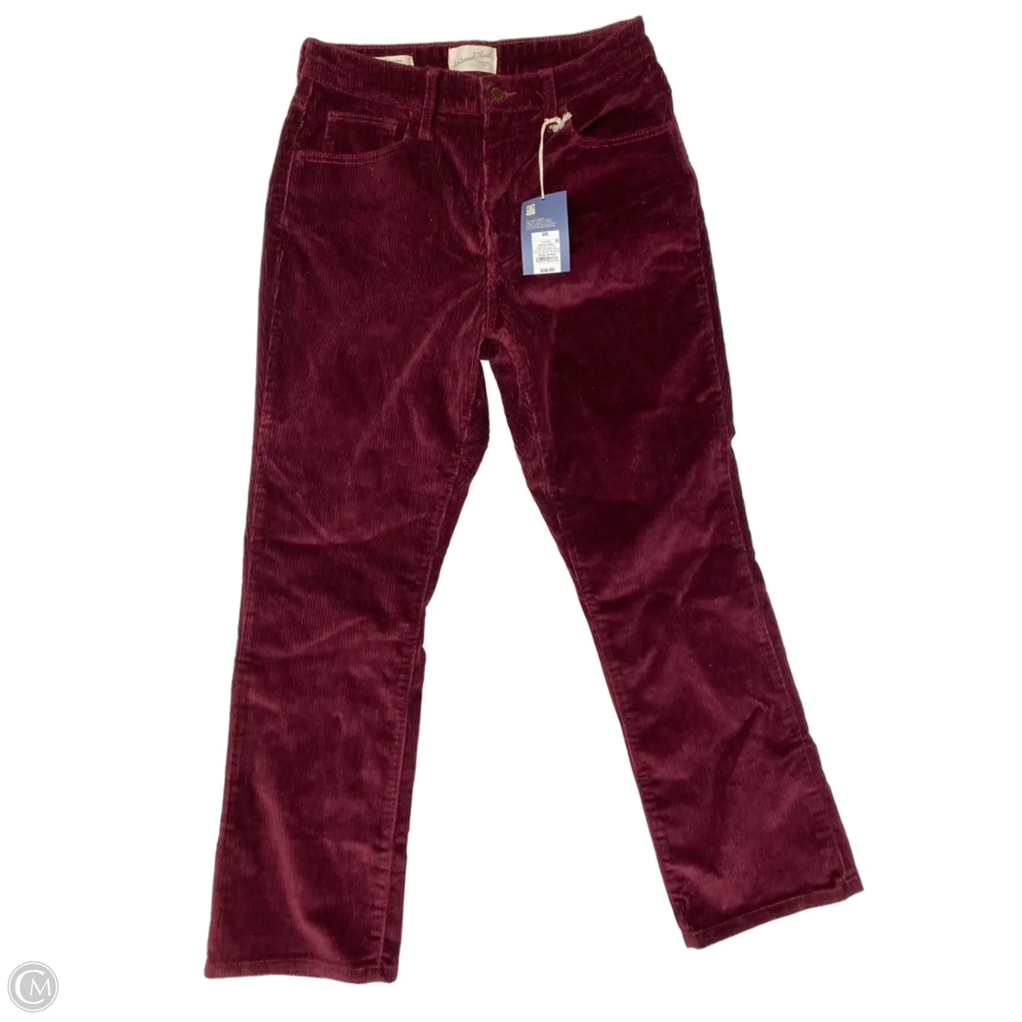 Pants Corduroy By Universal Thread In Maroon, Size: 8