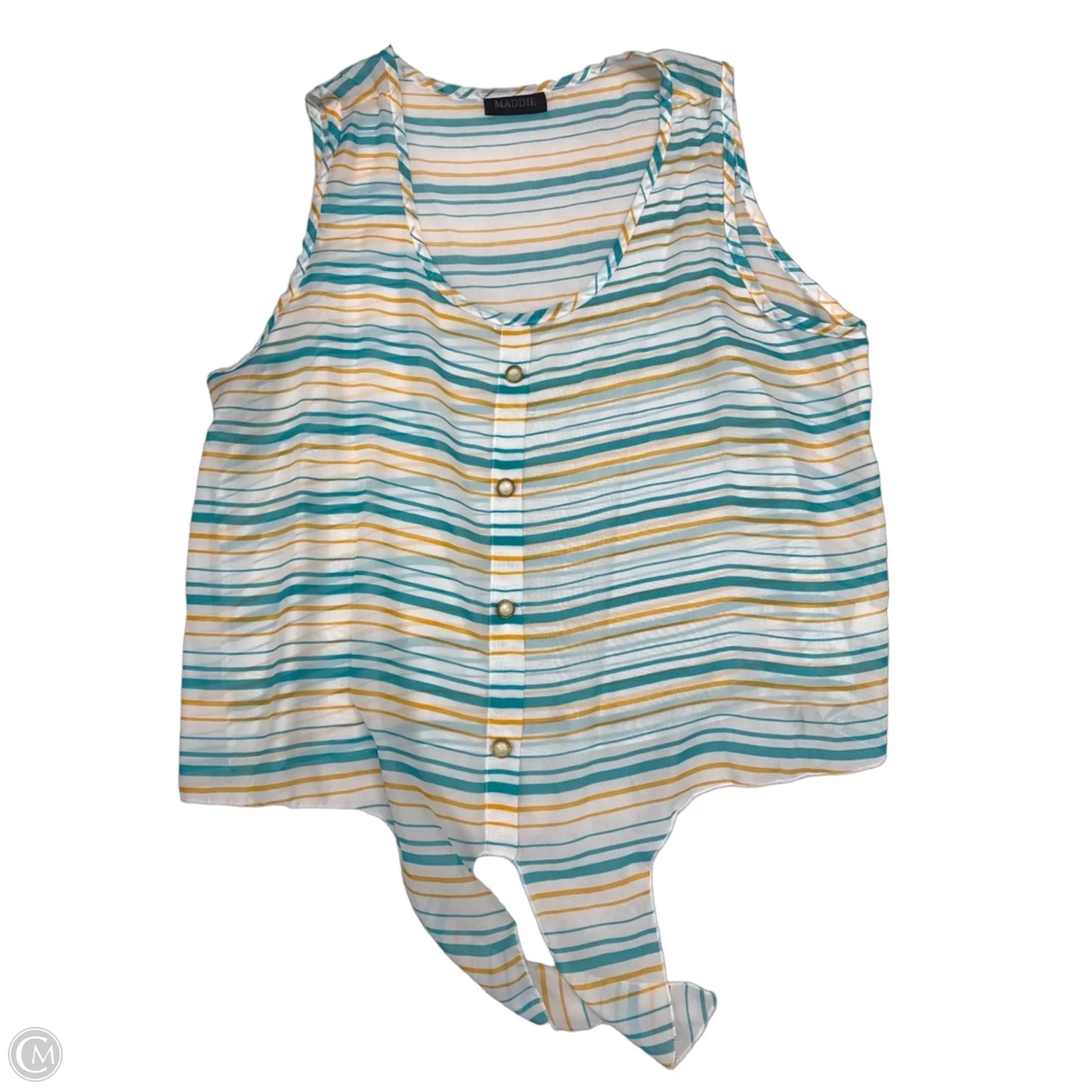 Blouse Sleeveless By Clothes Mentor In Striped Pattern, Size: 3x