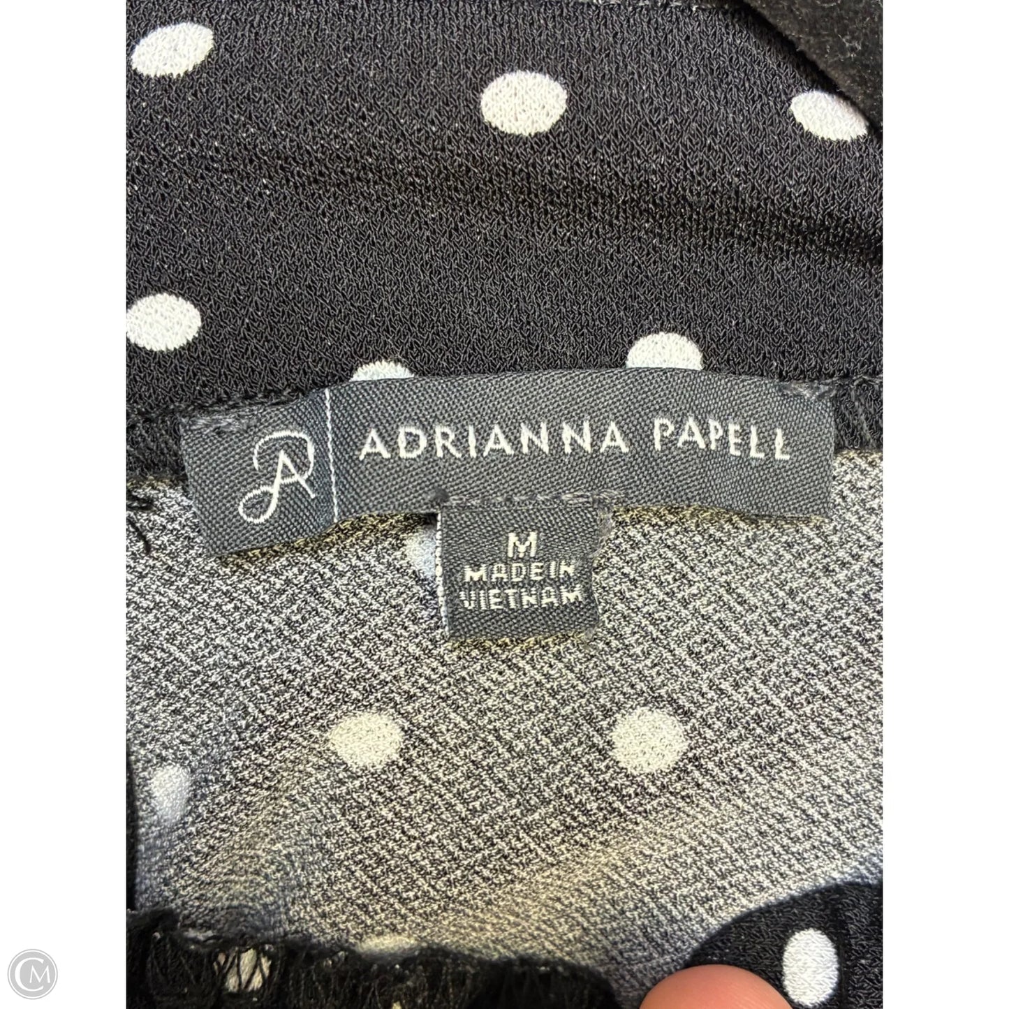 Blouse Short Sleeve By Adrianna Papell In Black, Size: M