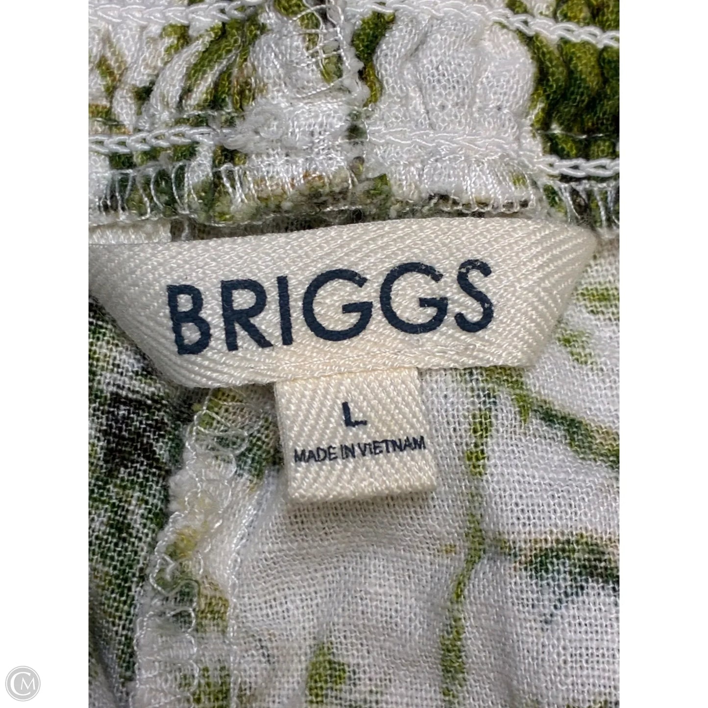 Shorts By Briggs In Green & White, Size: L