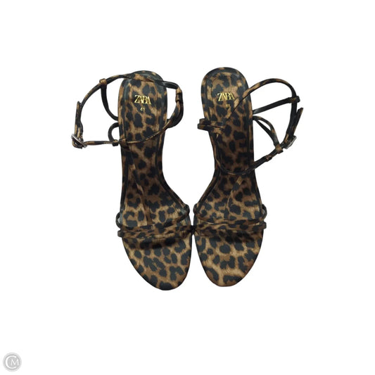 Shoes Heels Stiletto By Zara In Animal Print, Size: 10