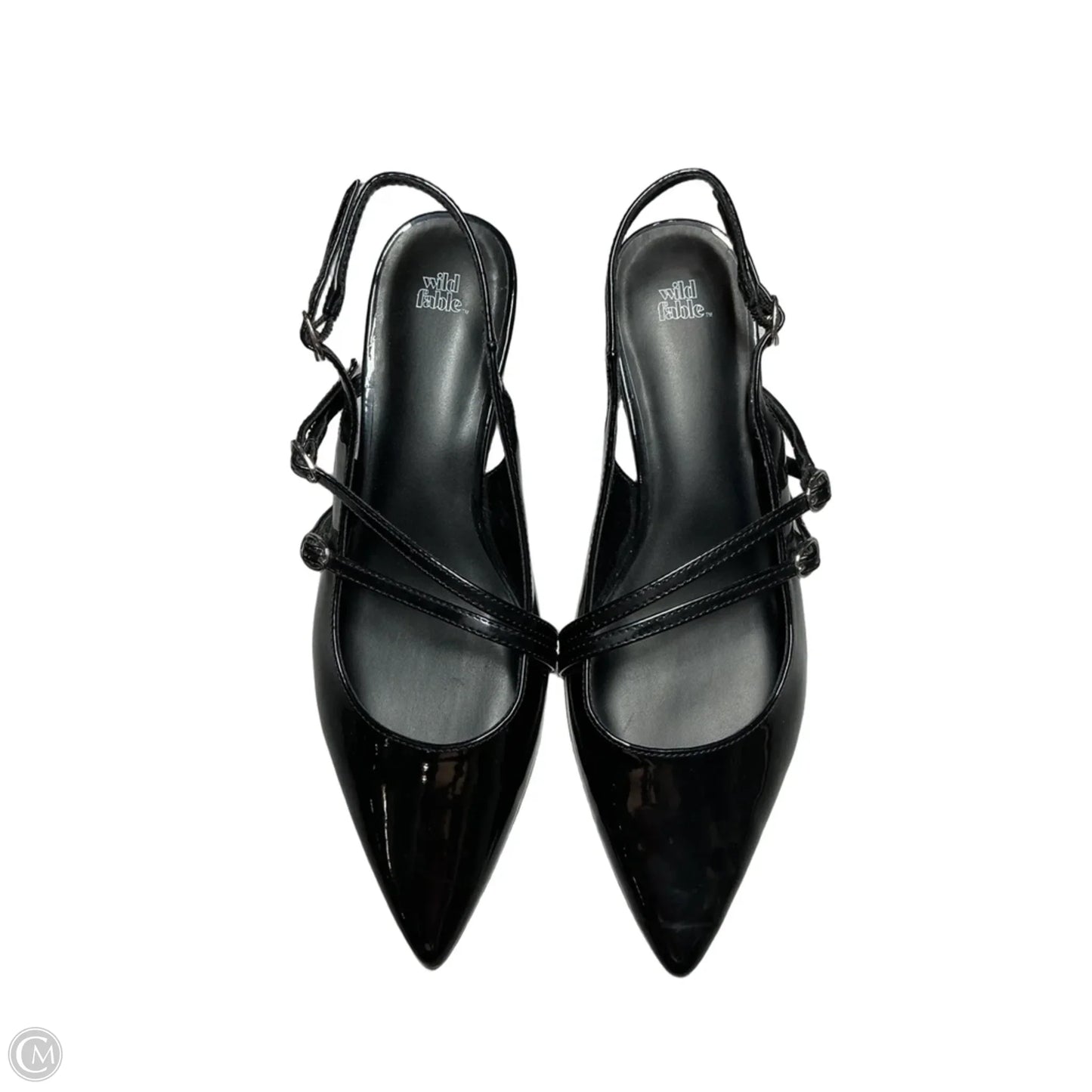 Shoes Heels Kitten By Wild Fable In Black, Size: 9.5