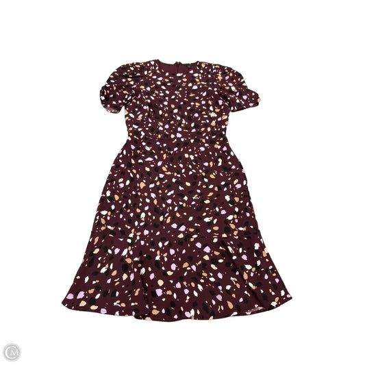 Dress Casual Short By Ann Taylor In Multi-colored, Size: 0