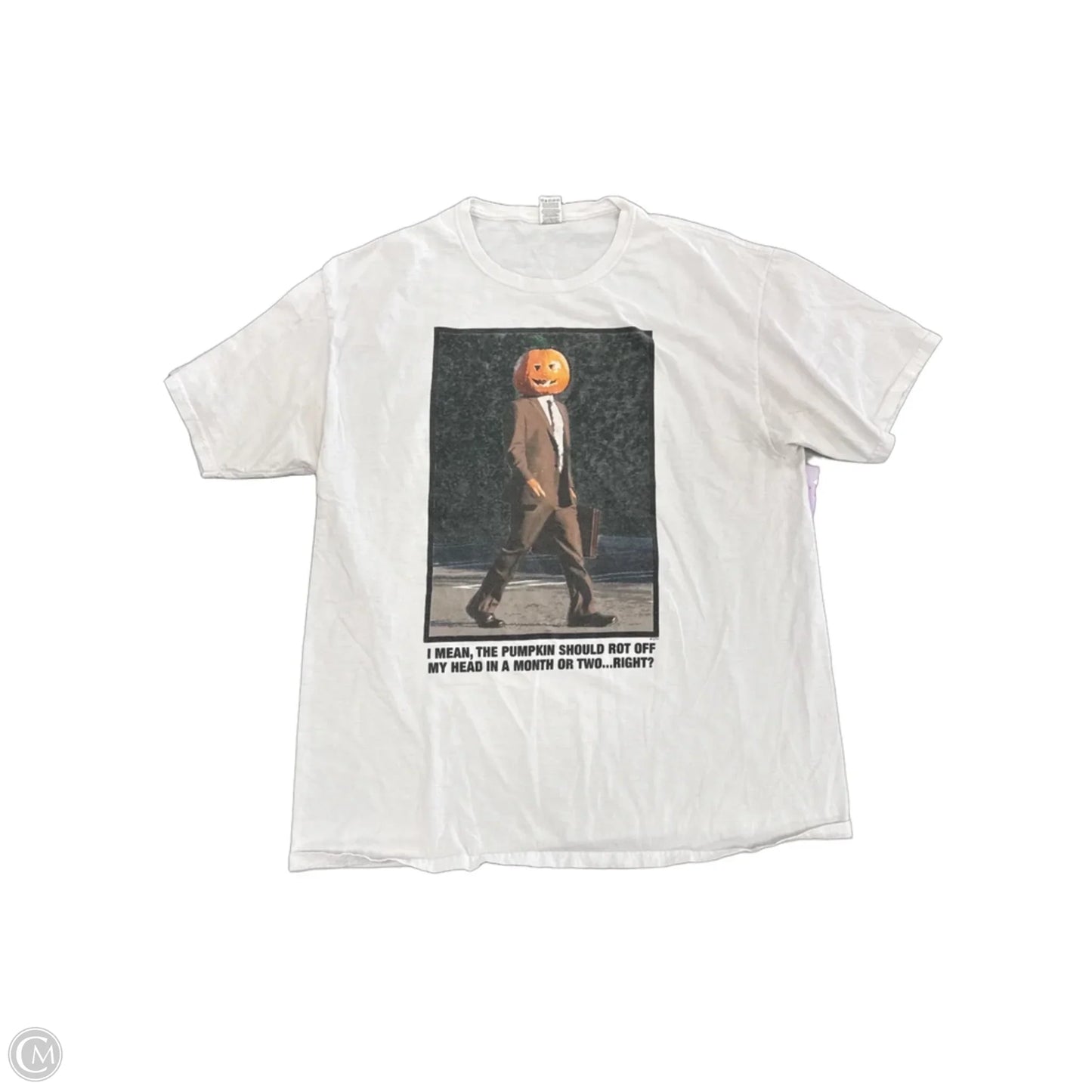 Top Short Sleeve By Fruit Of The Loom In White, Size: L