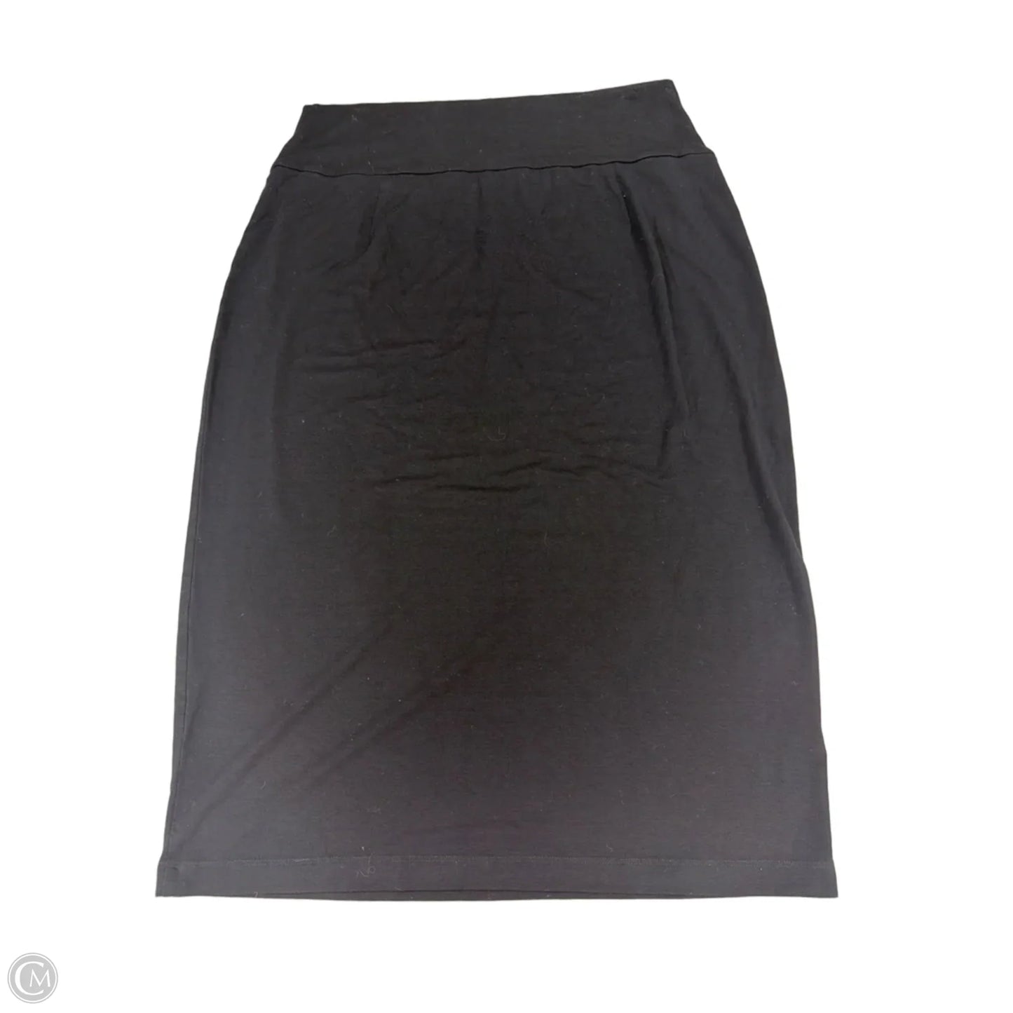 Skirt Maxi By Eileen Fisher In Black, Size: 12