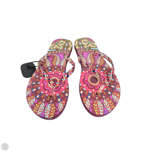 Sandals Flip Flops By Vera Bradley In Multi-colored, Size: 9
