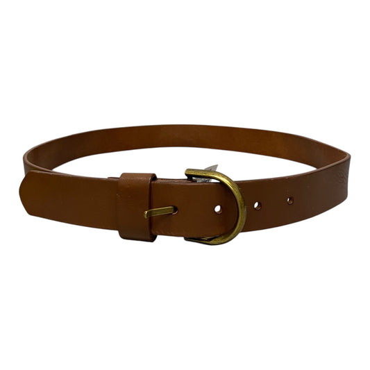 Belt In Brown