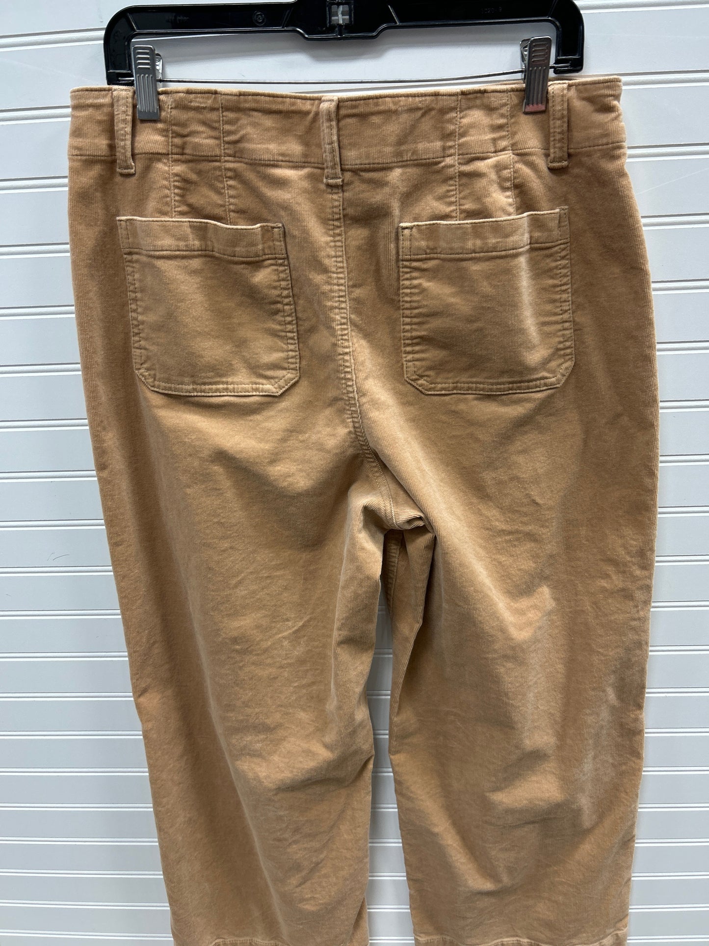 Pants Corduroy By Talbots In Tan, Size:12P