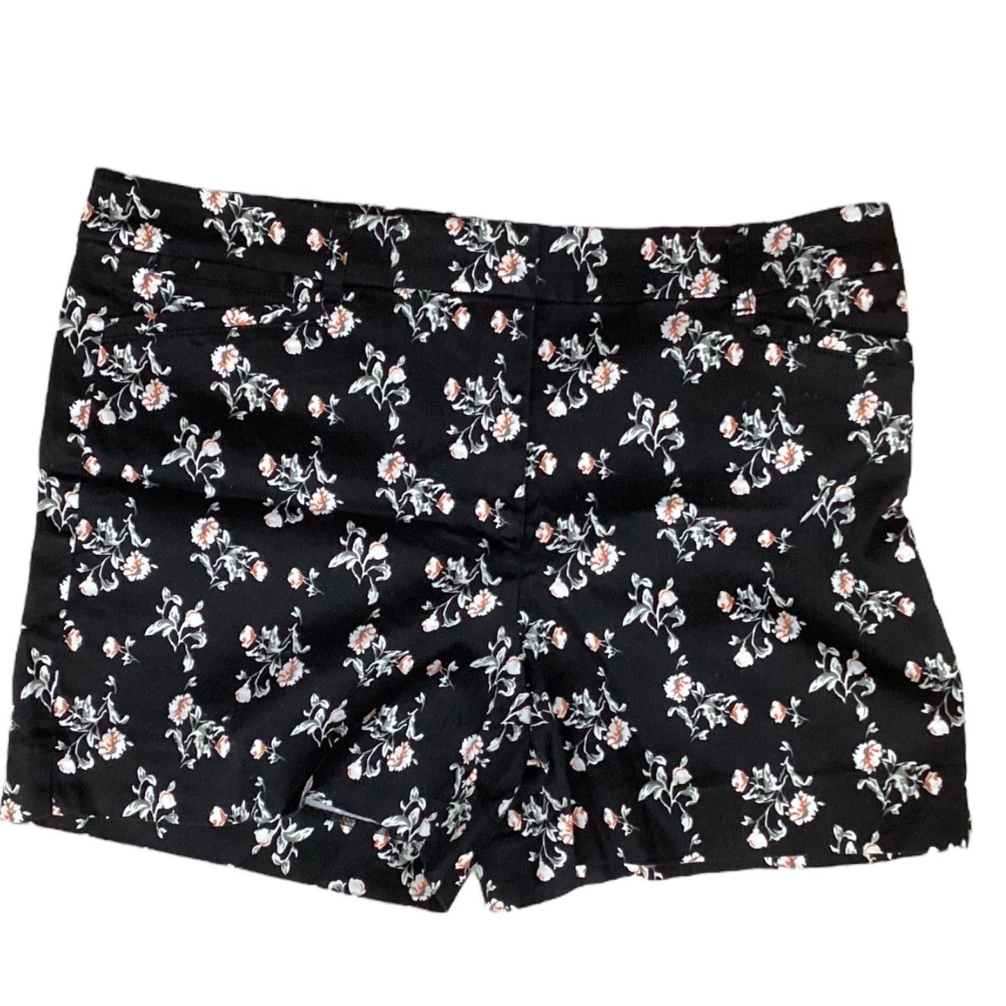 Shorts By White House Black Market In Black & Orange, Size:10
