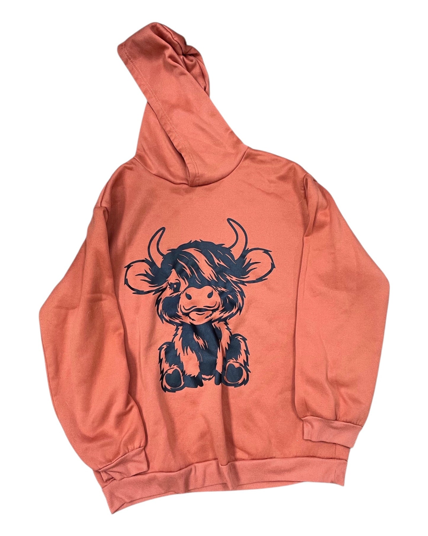 Sweatshirt Hoodie By Clothes Mentor In Orange, Size:Xl