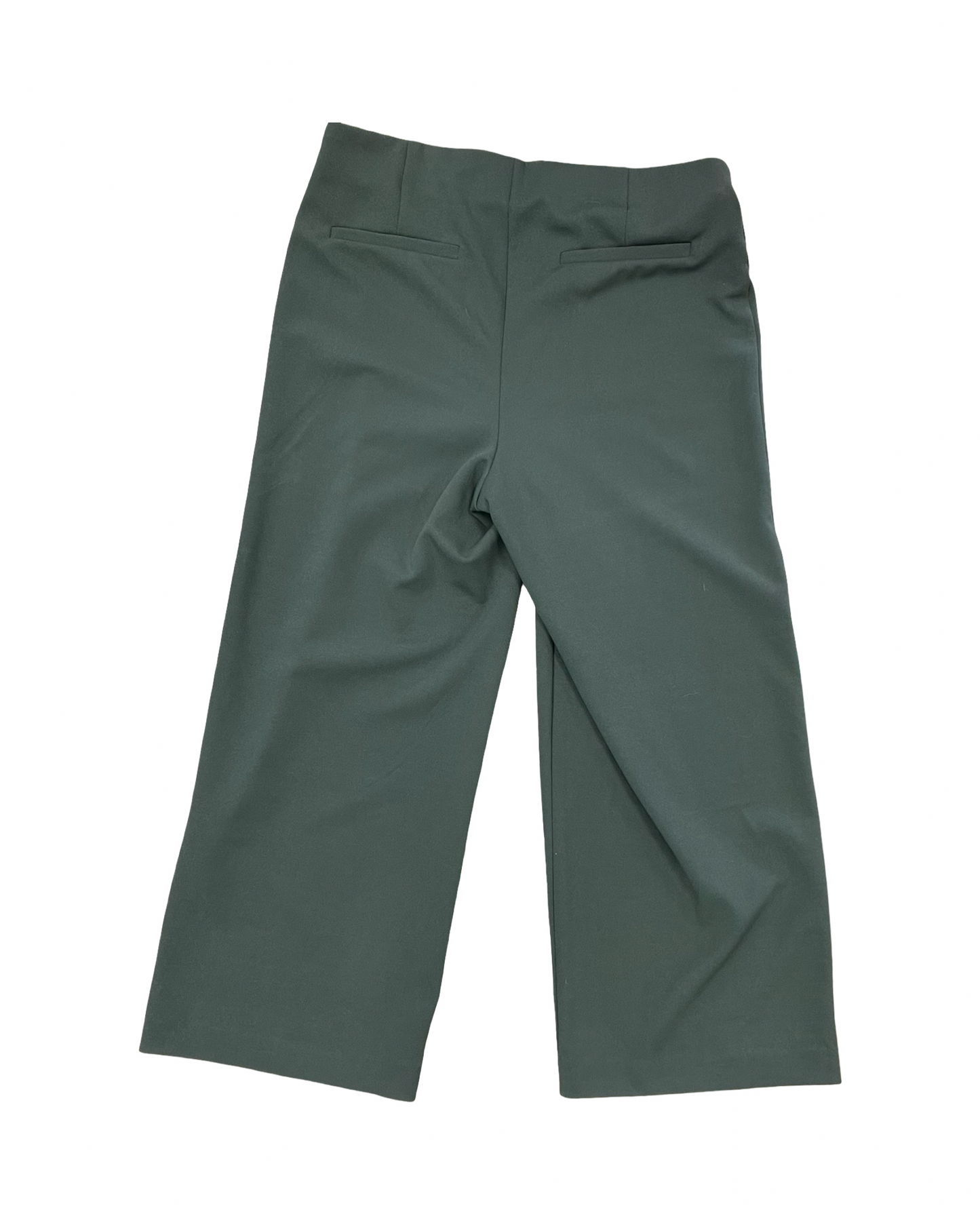 Pants Wide Leg By Loft In Green, Size:M