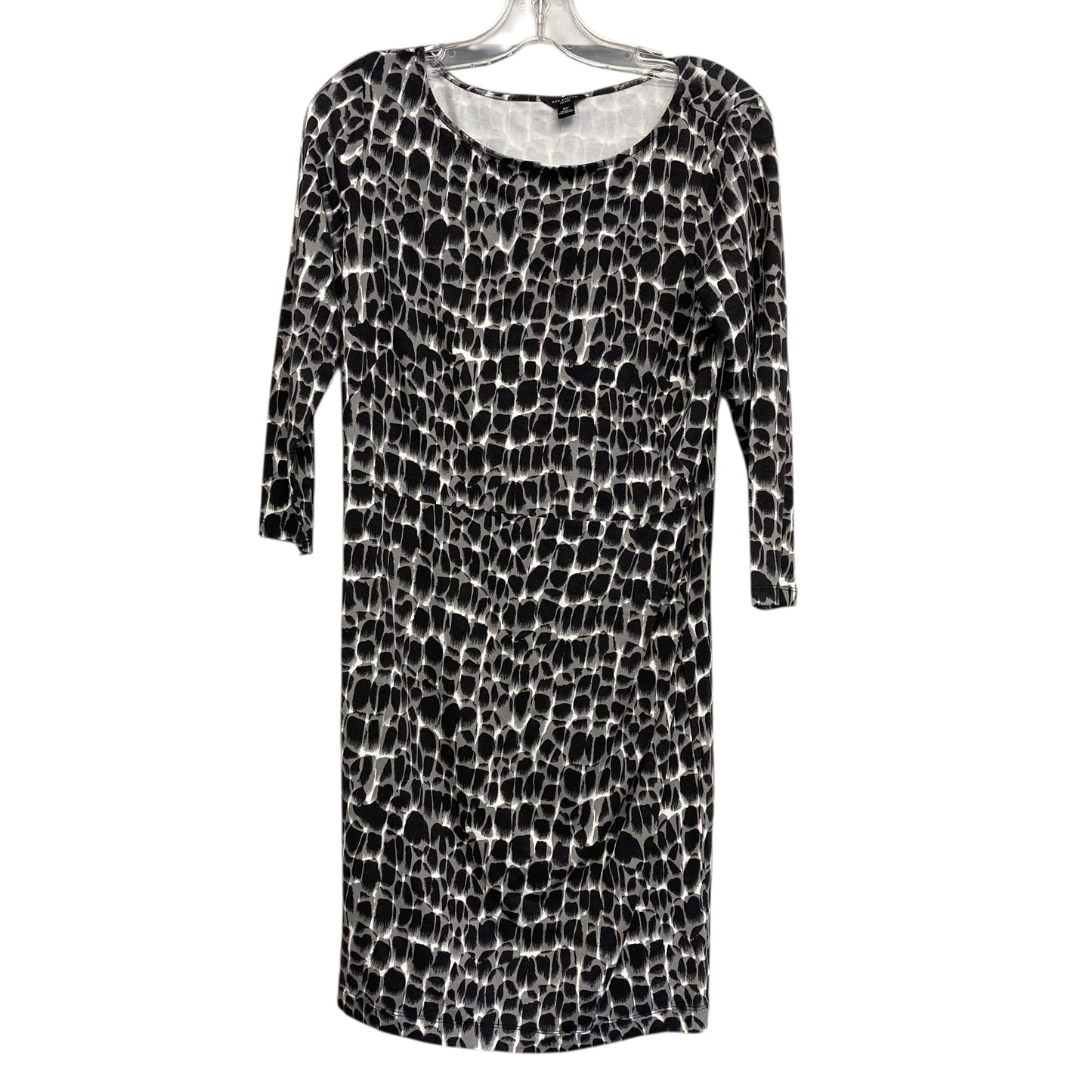 Dress Casual Short By Ann Taylor In Black & White, Size:8P