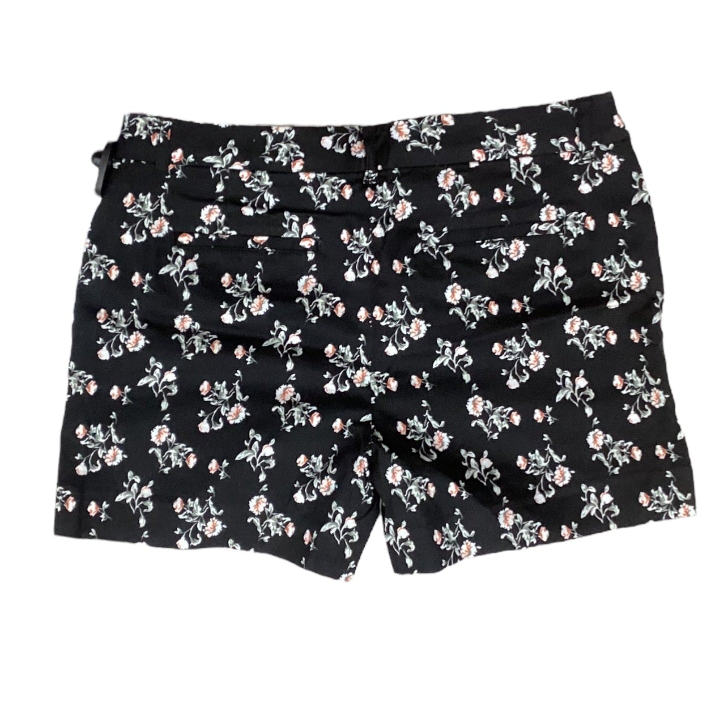 Shorts By White House Black Market In Black & Orange, Size:10